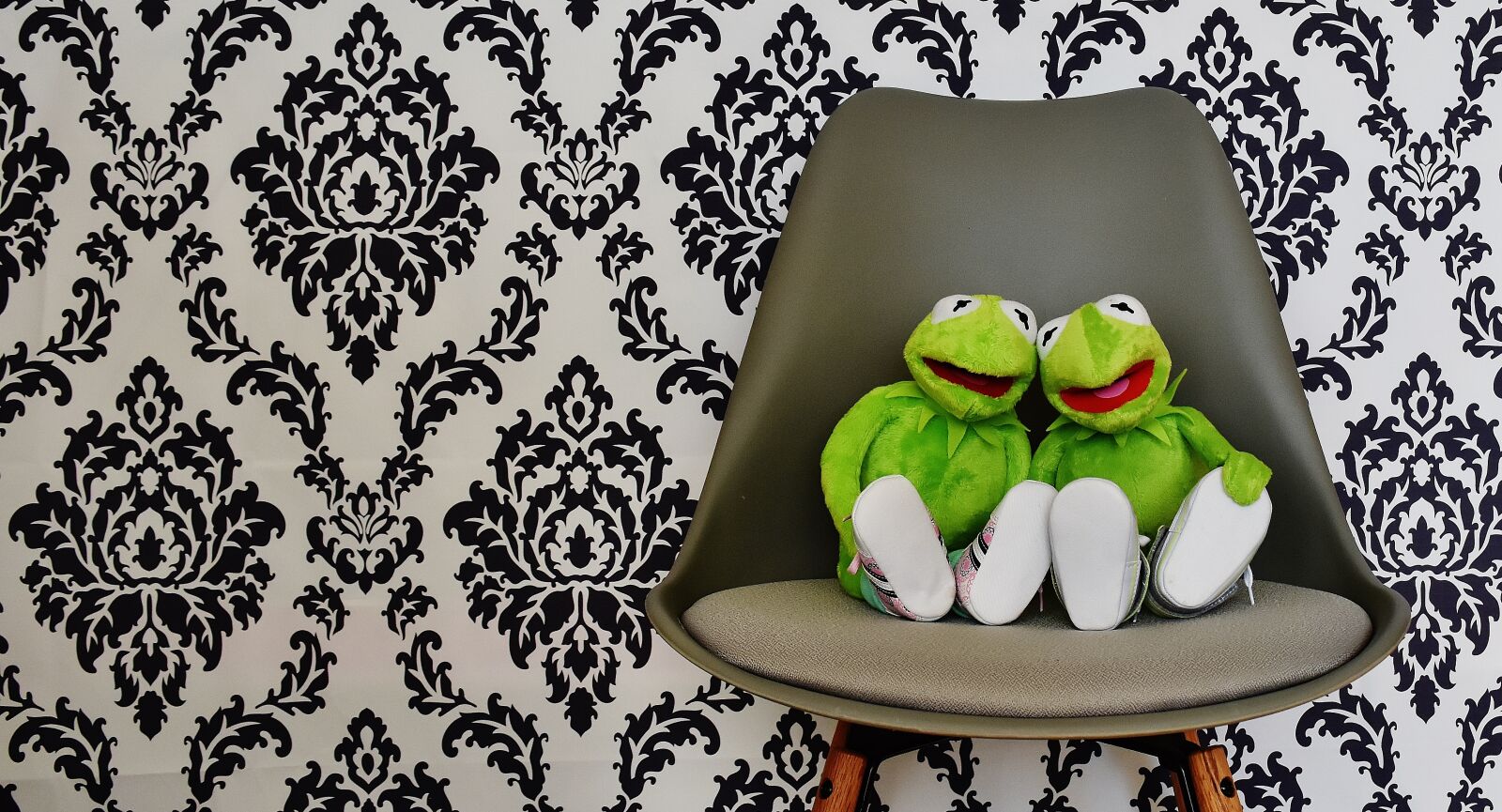Nikon D7200 sample photo. Kermit, for two, funny photography