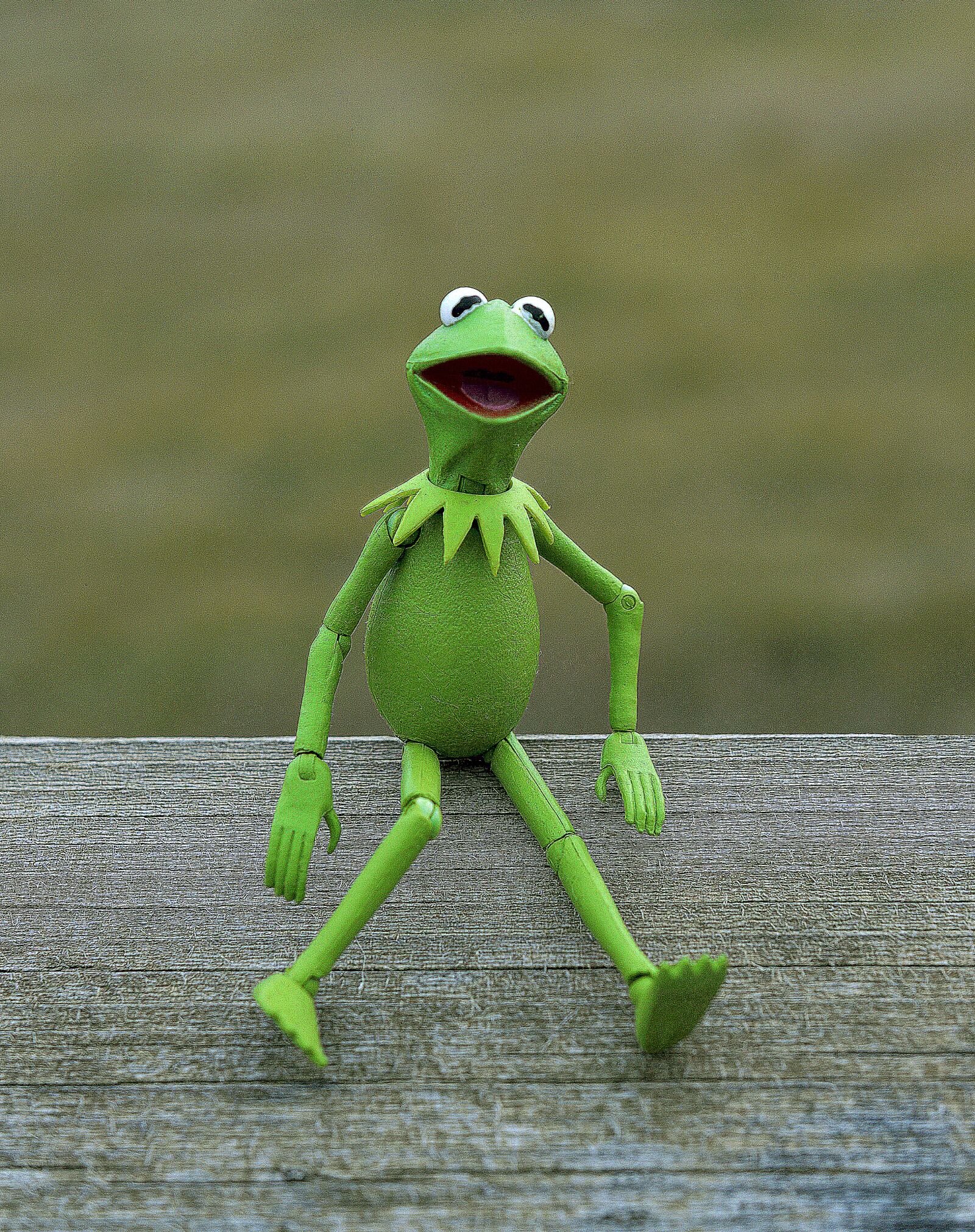 Nikon D3200 sample photo. Kermit, frog, muppet photography