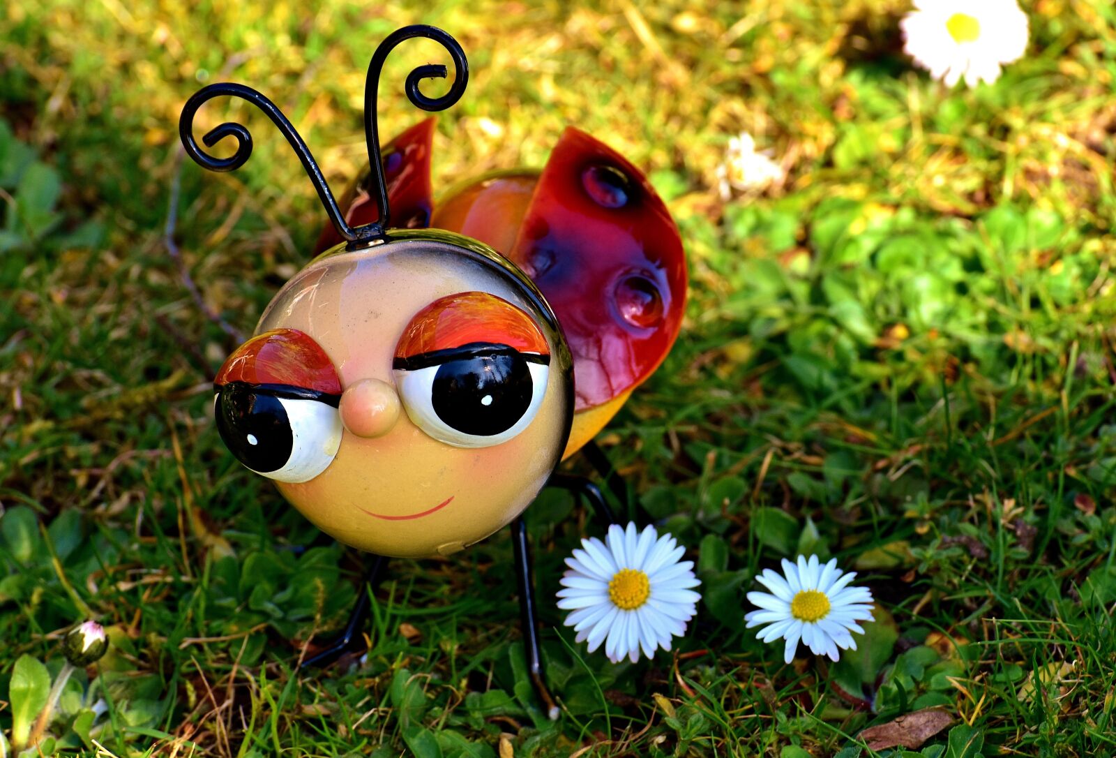 Nikon D7200 sample photo. Ladybug, metal, colorful photography
