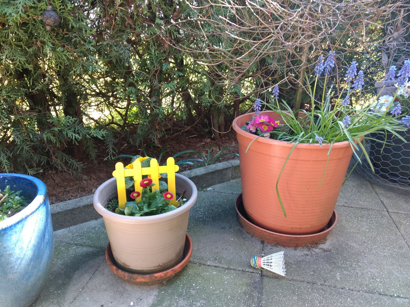 Motorola Moto G (4) sample photo. Terrace, plant, garden fence photography