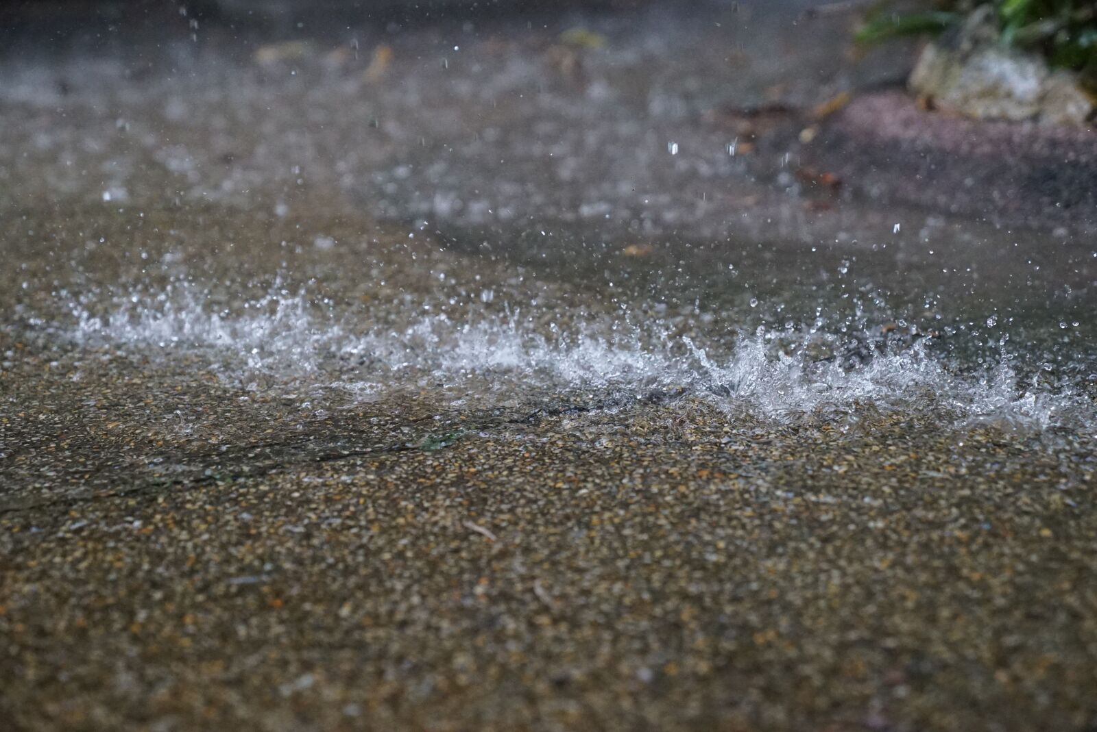 Sony a7S + Sony FE 24-70mm F2.8 GM sample photo. Rain drops, pelting, abstract photography
