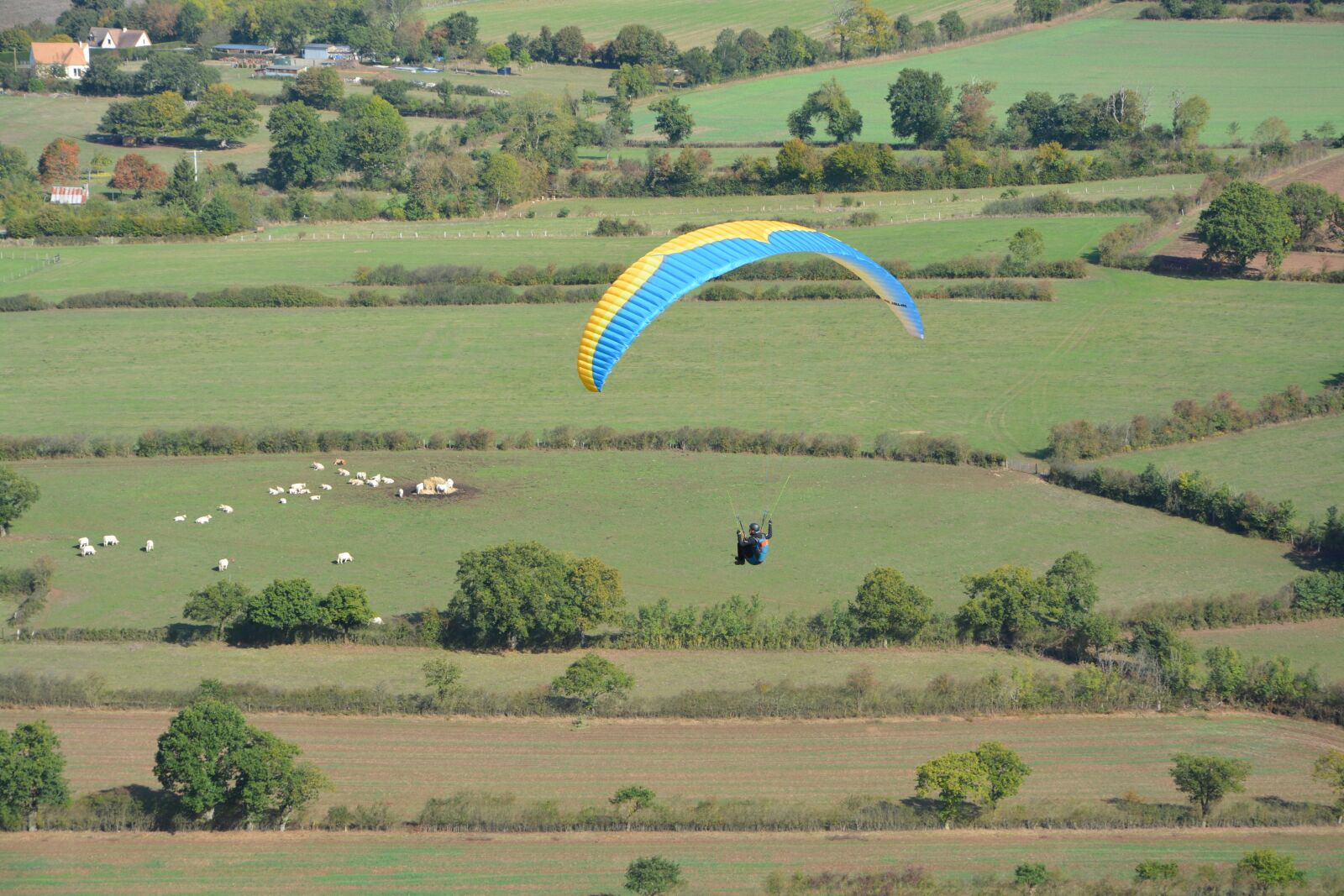 Nikon D5200 sample photo. Paragliding, paraglider, free flight photography