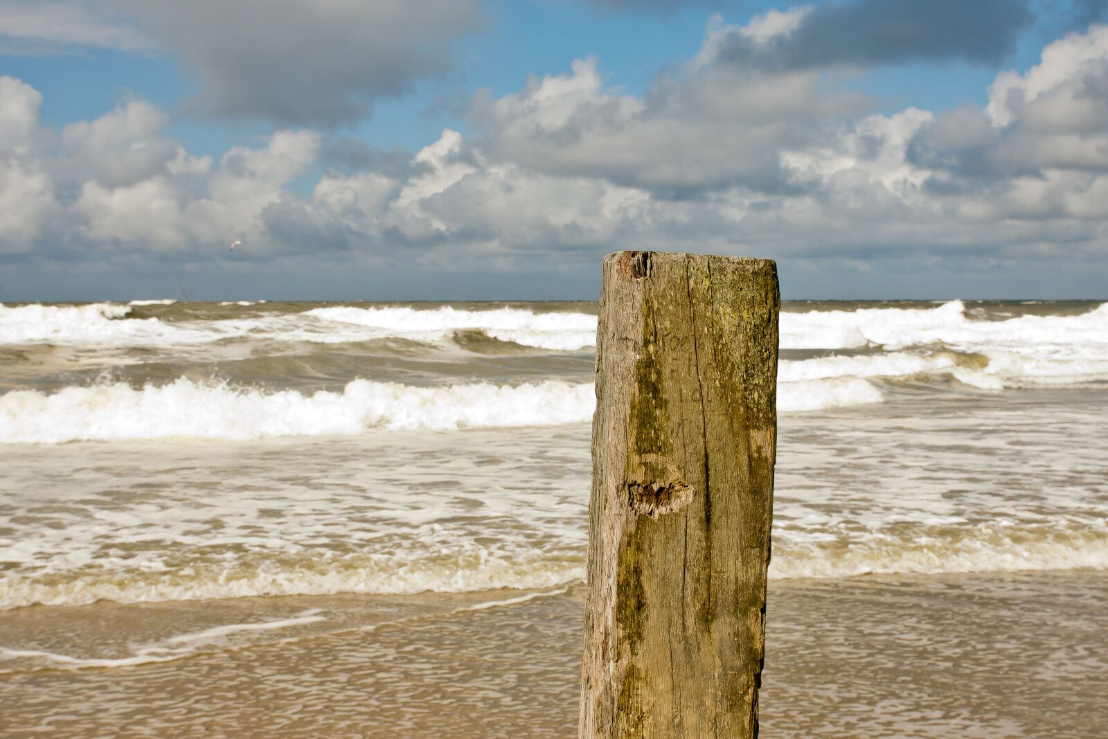 Canon EOS 50D sample photo. Beach, sea, vacations photography