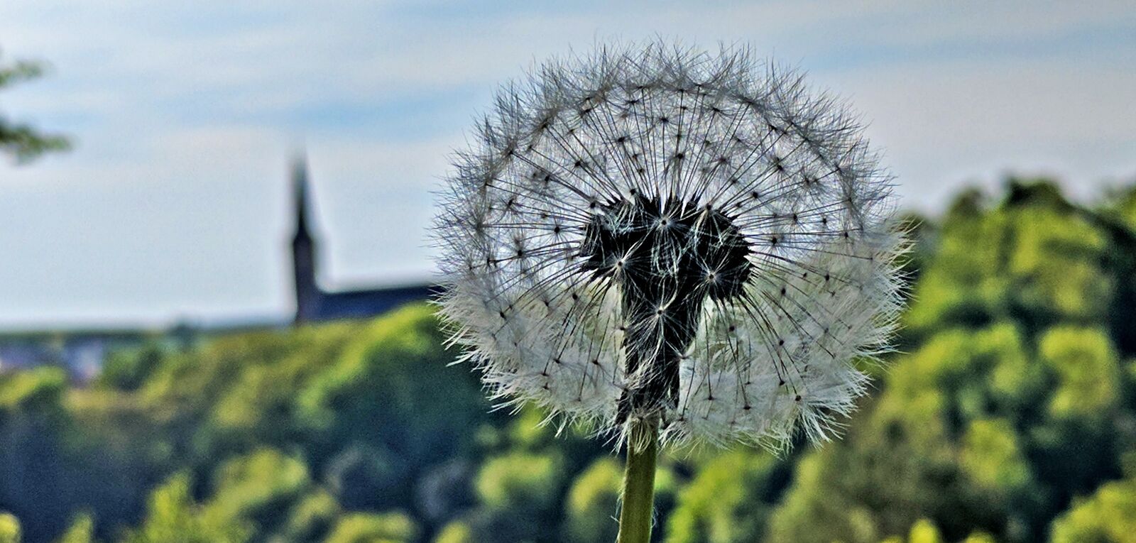 Google Pixel sample photo. Clausen, kirche, pfalz photography