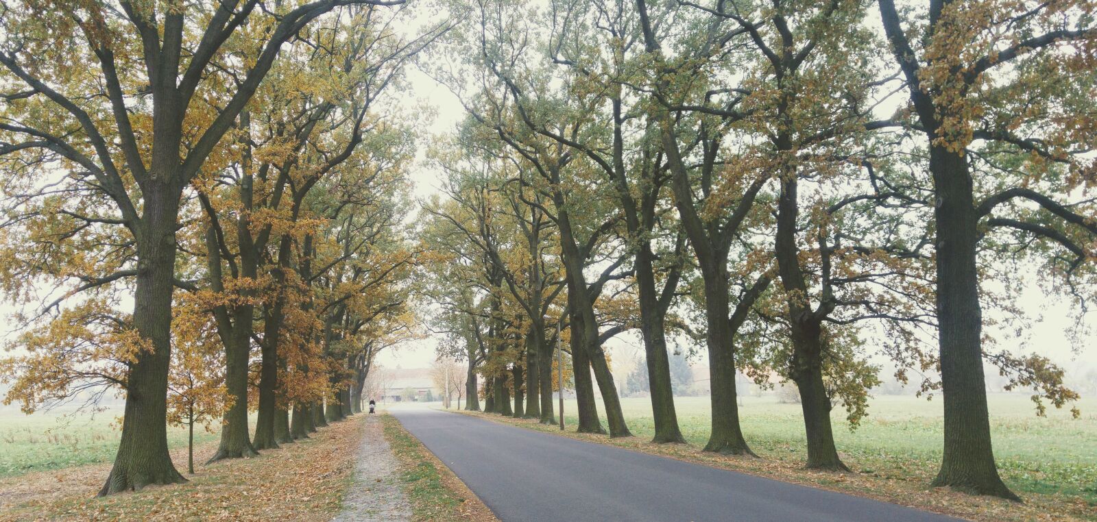 LG G4 sample photo. Germany, brandenburg, paplitz photography