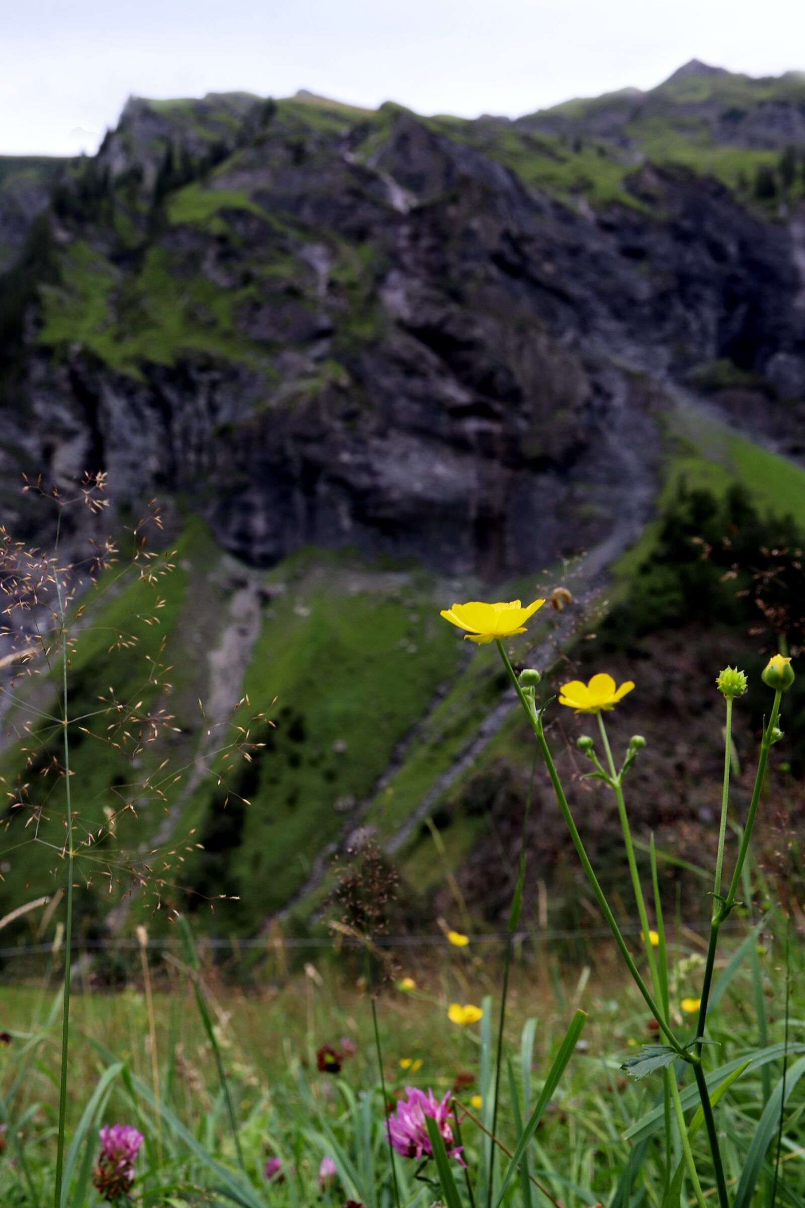 Canon EOS 77D (EOS 9000D / EOS 770D) sample photo. Bat ni, waterfall arena photography