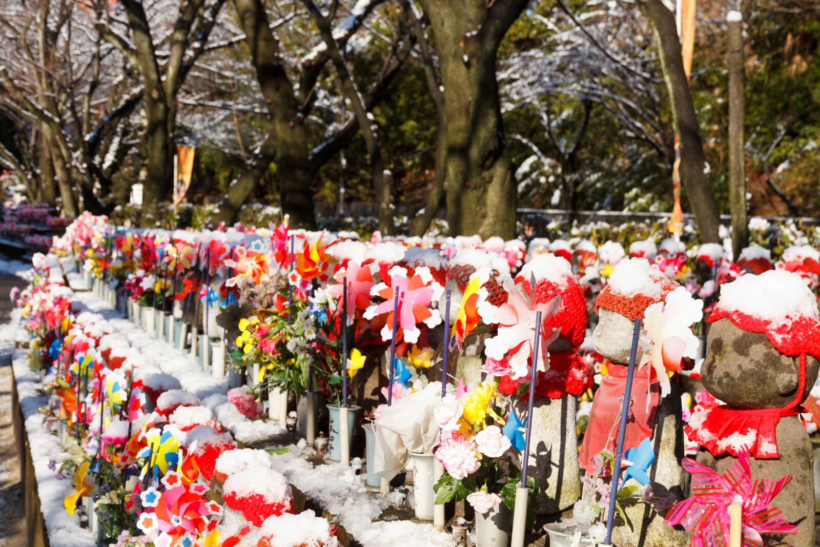 Canon EOS 7D sample photo. Tokyo, japan, shrine photography