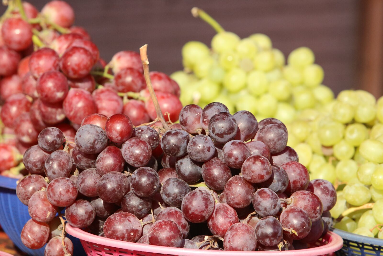 Canon EF 70-200mm F2.8L USM sample photo. Food, fruit, vegetable photography