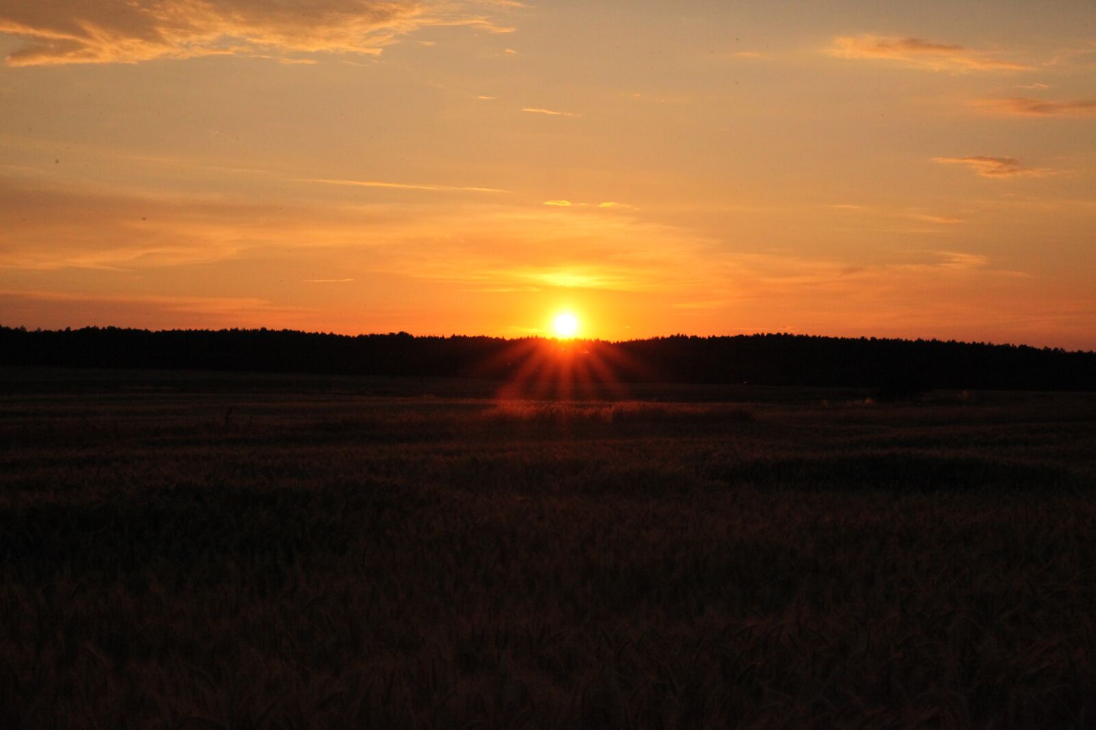 Canon EOS 5D Mark II sample photo. Sun, field, clouds photography