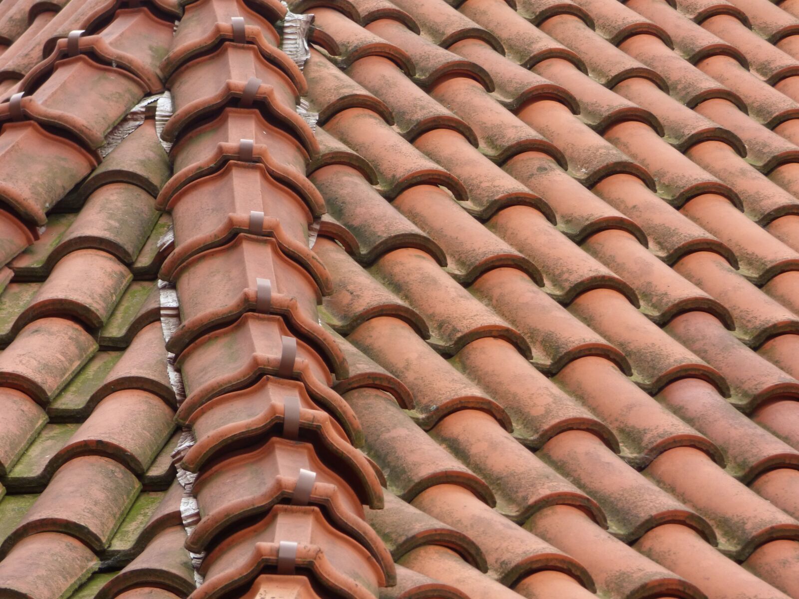 Panasonic DMC-FZ72 sample photo. The roof of the photography
