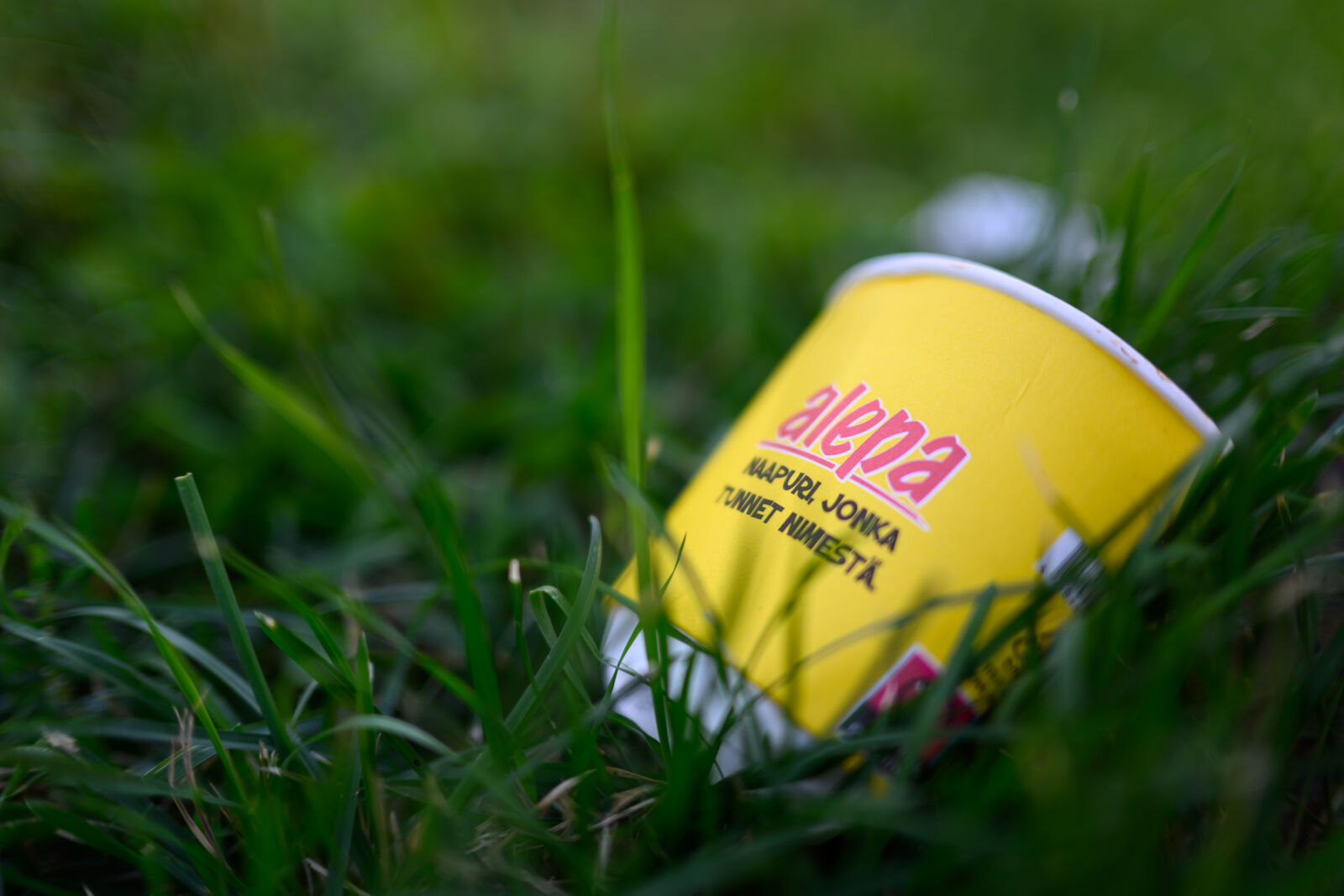 Nikon Nikkor Z 35mm F1.4 sample photo. Littering hoods photography