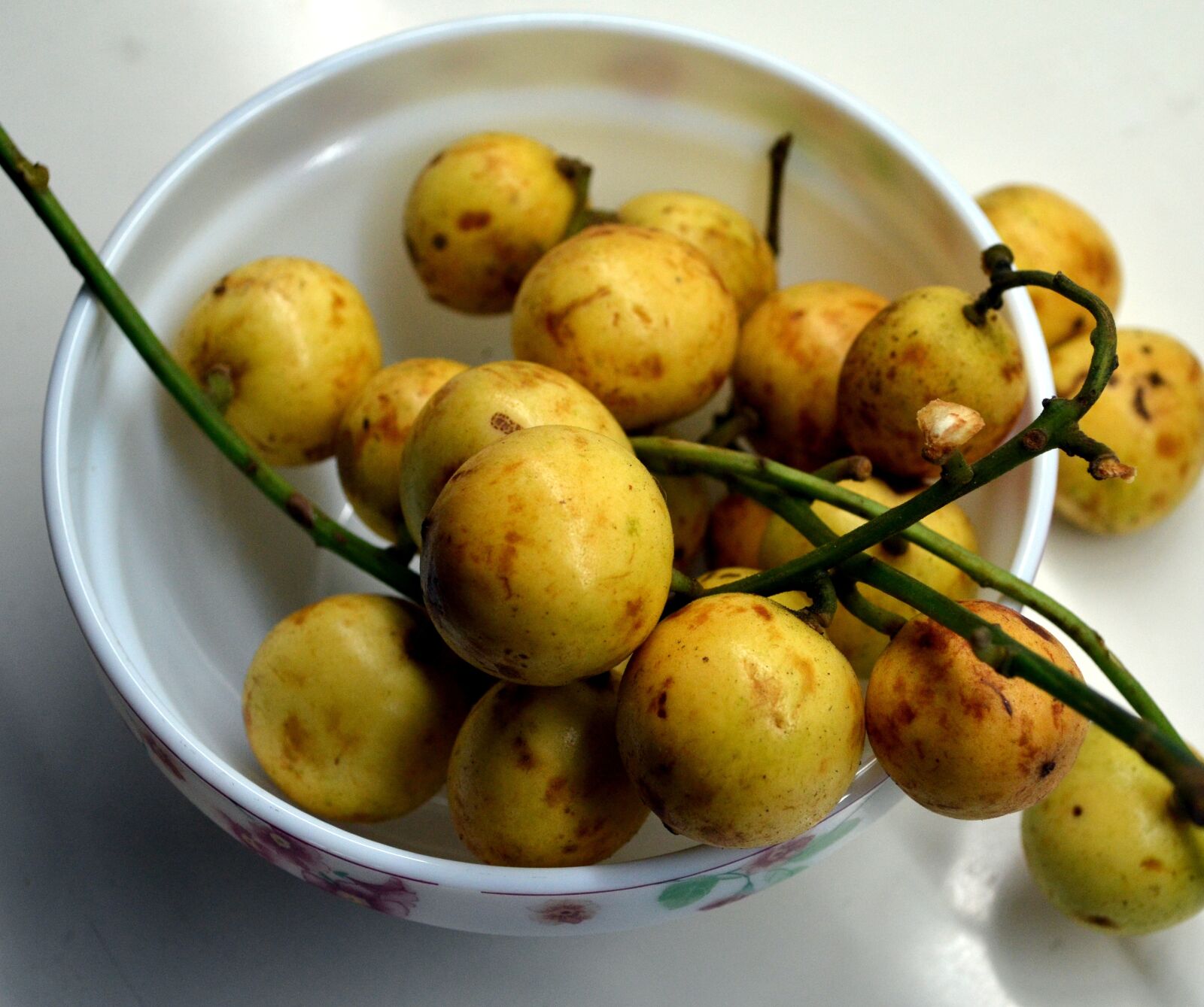 Nikon D5100 sample photo. Burmese grape, baccaurea ramiflora photography