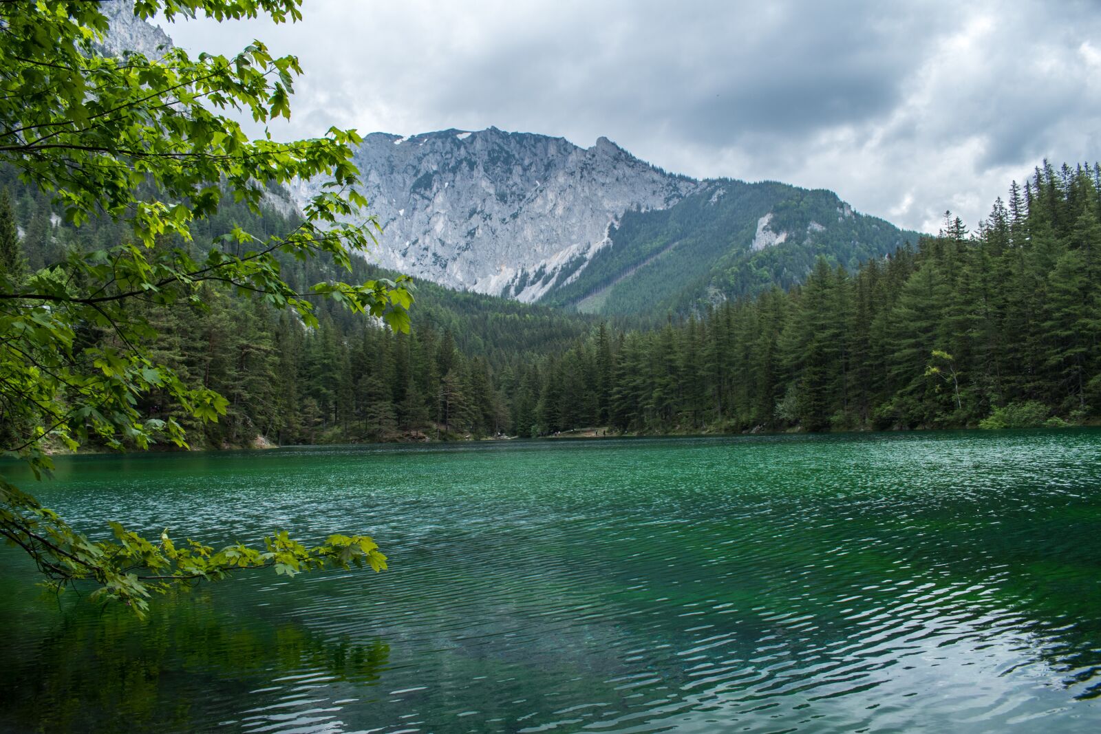 Nikon D5600 sample photo. Green lake, styria, lake photography