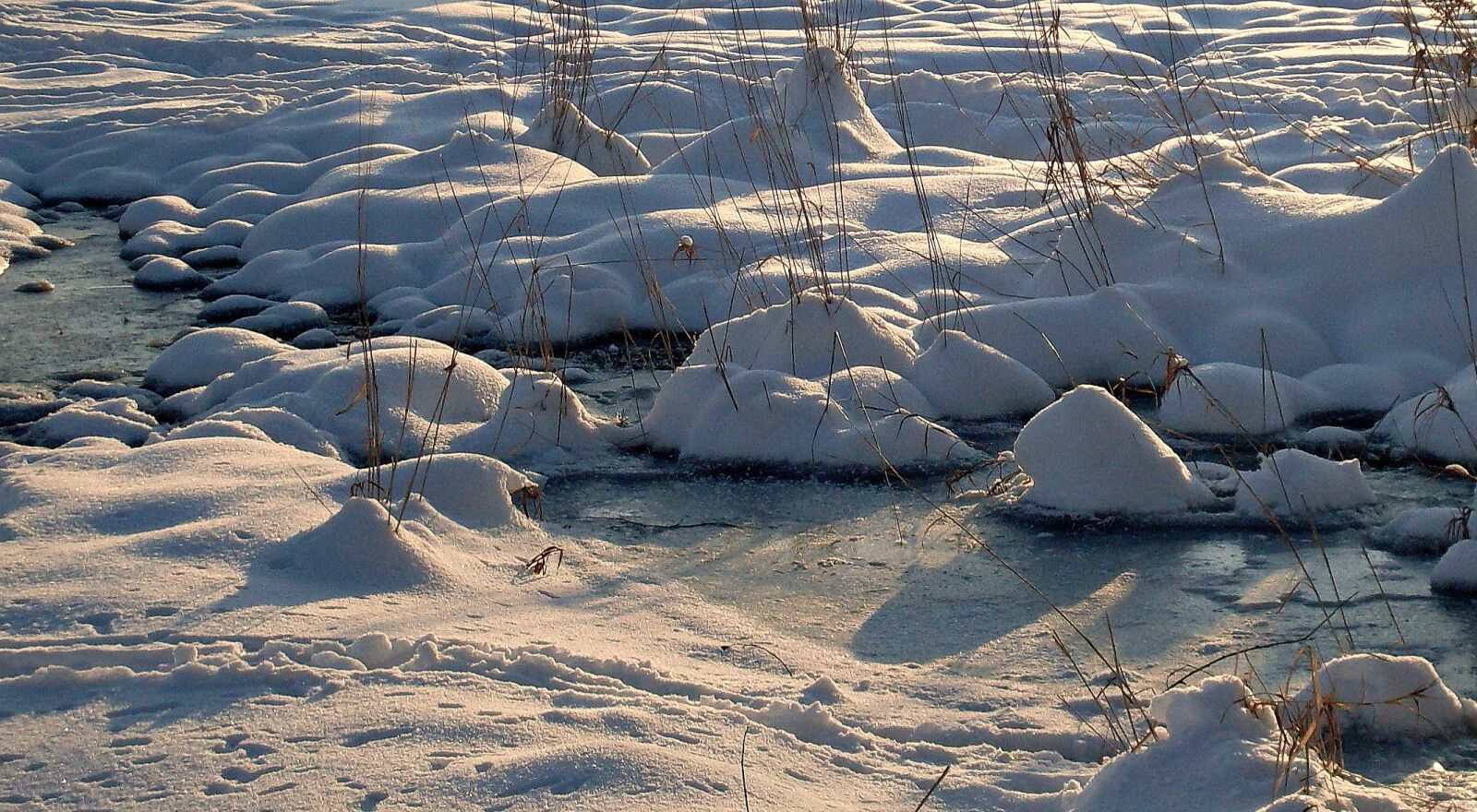 Samsung KENOX S860  / Samsung S860 sample photo. Nature, winter, snow photography