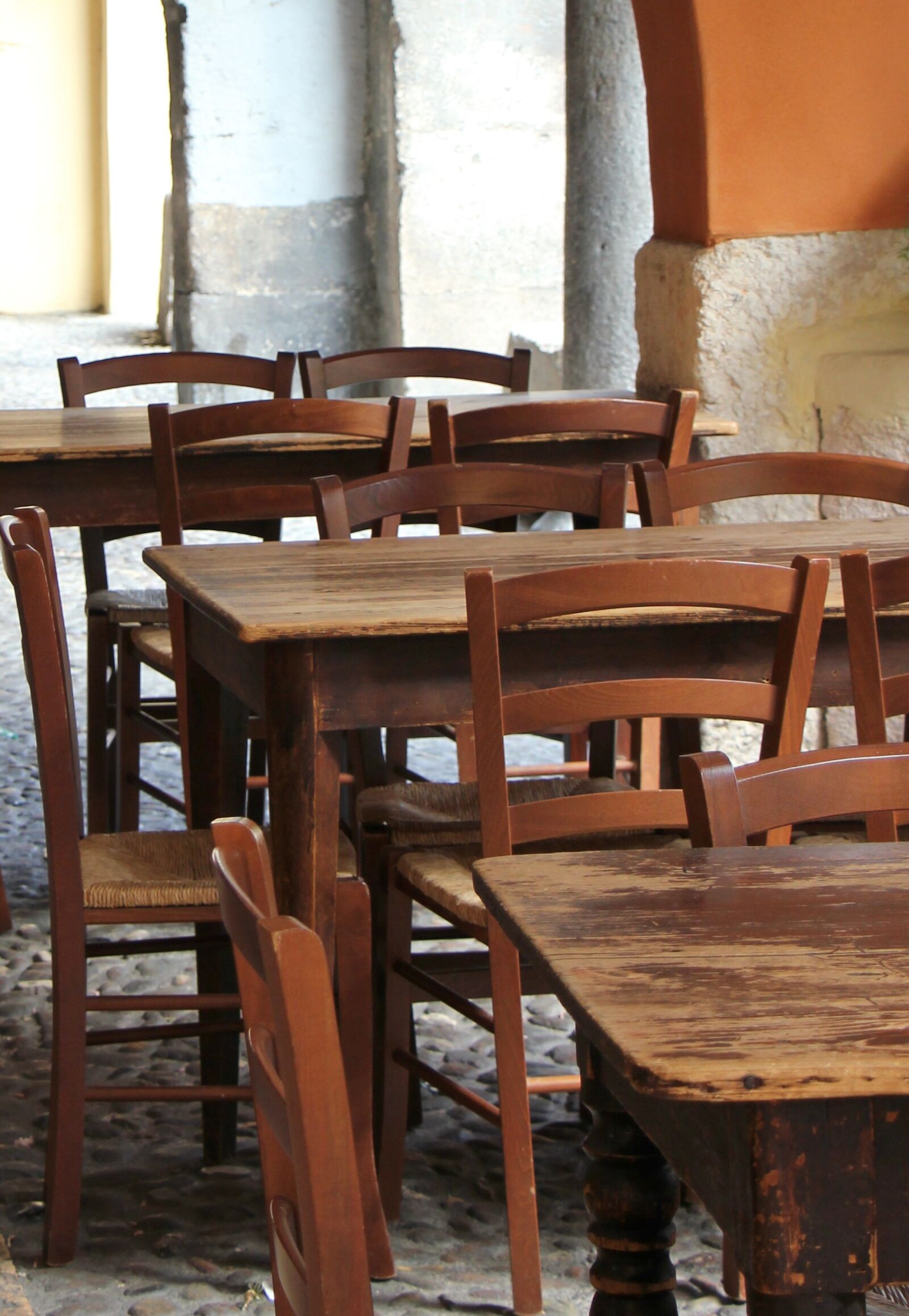 Canon EOS 550D (EOS Rebel T2i / EOS Kiss X4) sample photo. Wood, verona, italy photography