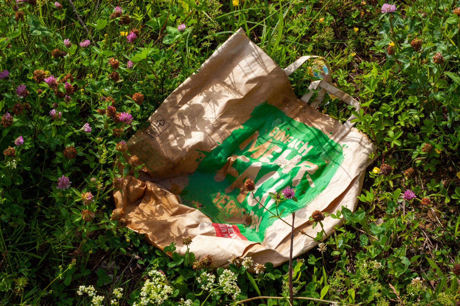 Canon EF 50mm F1.8 II sample photo. Paper bag, thrown away photography