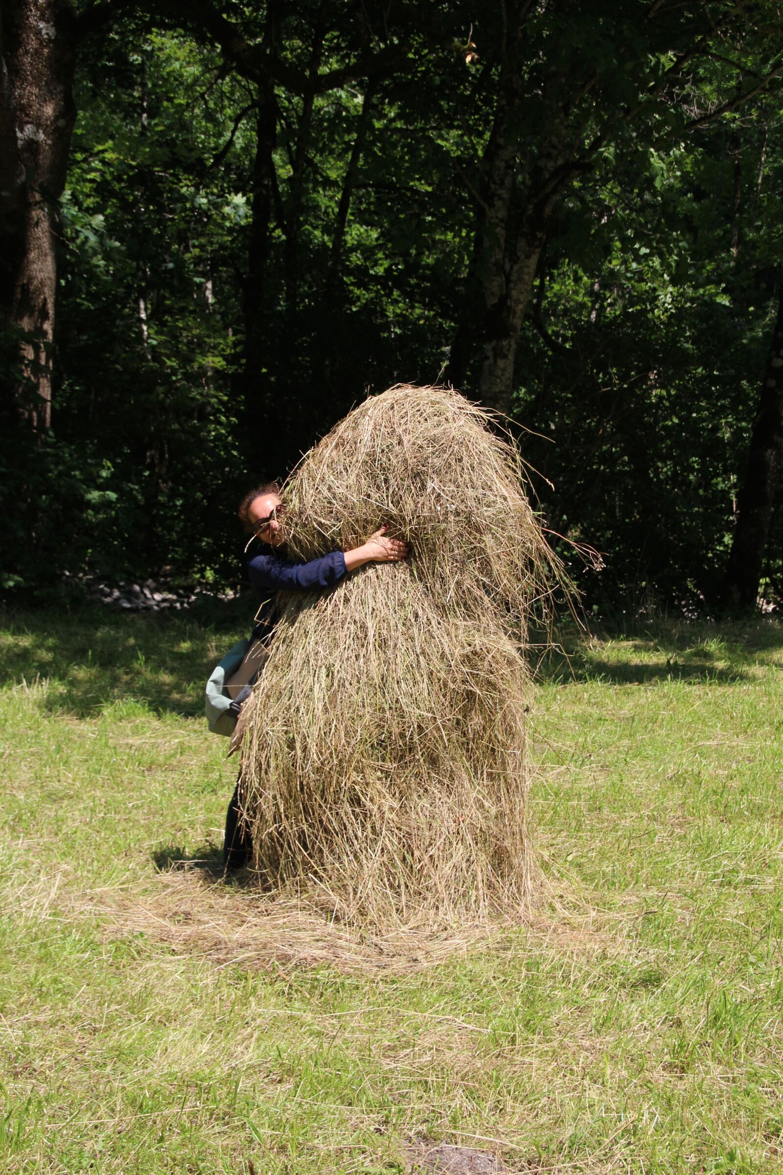 Canon EOS 600D (Rebel EOS T3i / EOS Kiss X5) sample photo. Haystack, hay, feed photography