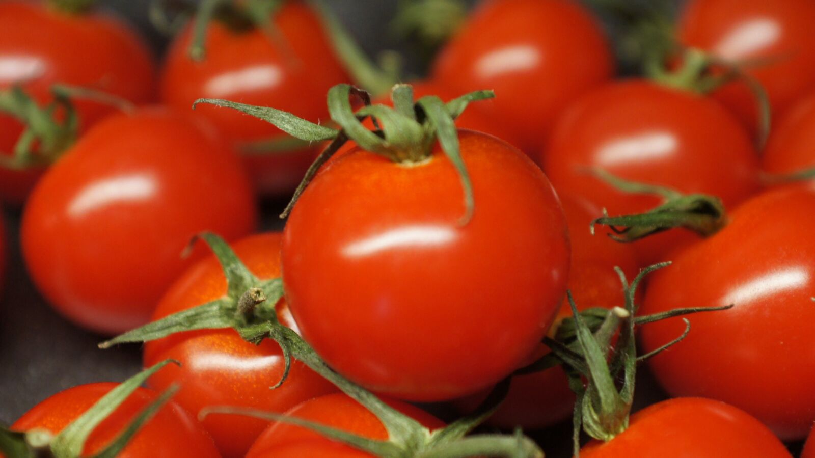 Sony Alpha DSLR-A500 sample photo. Tomatoes, vegetables, red photography