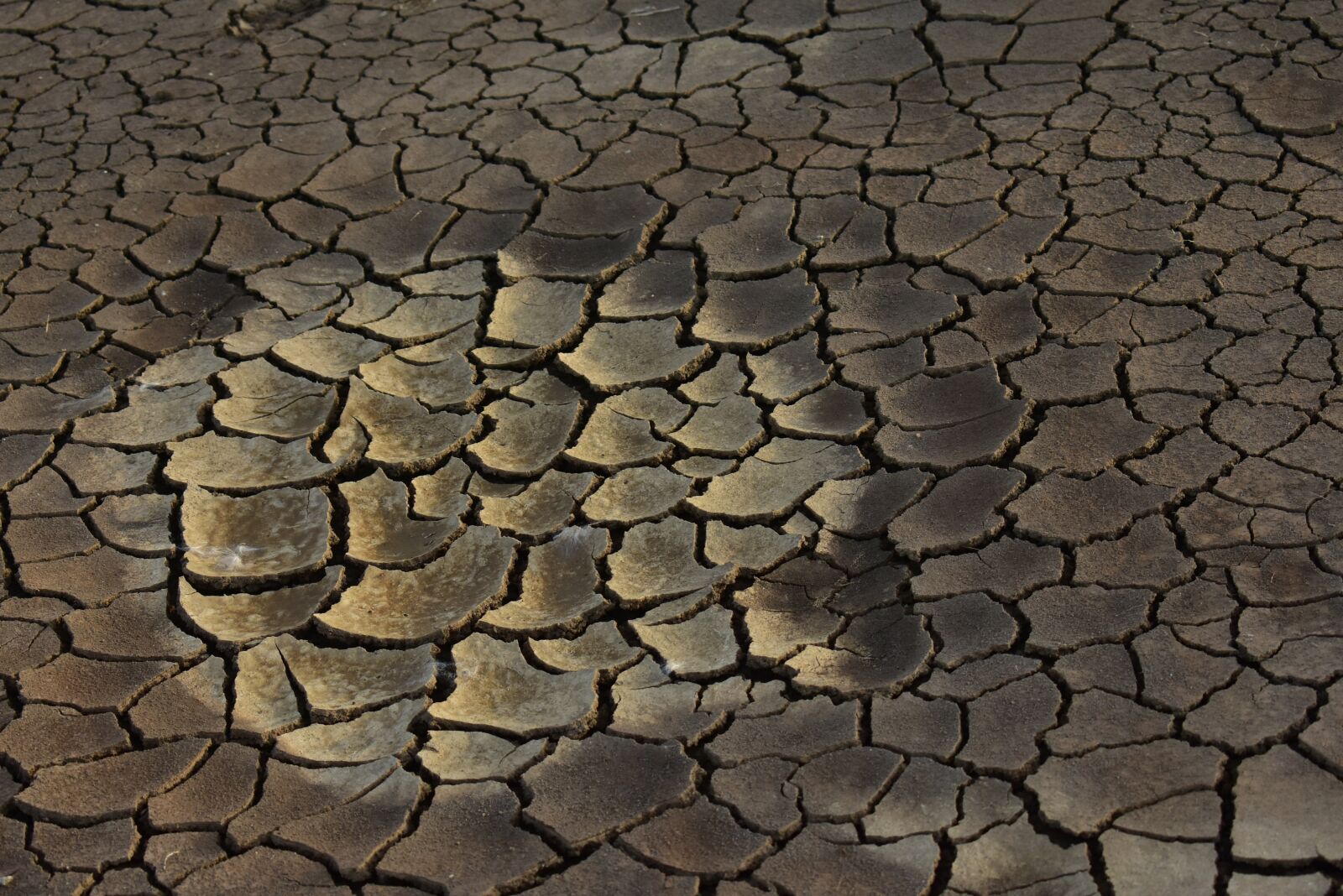 Nikon D3400 sample photo. Drought, dry mud, cracked photography