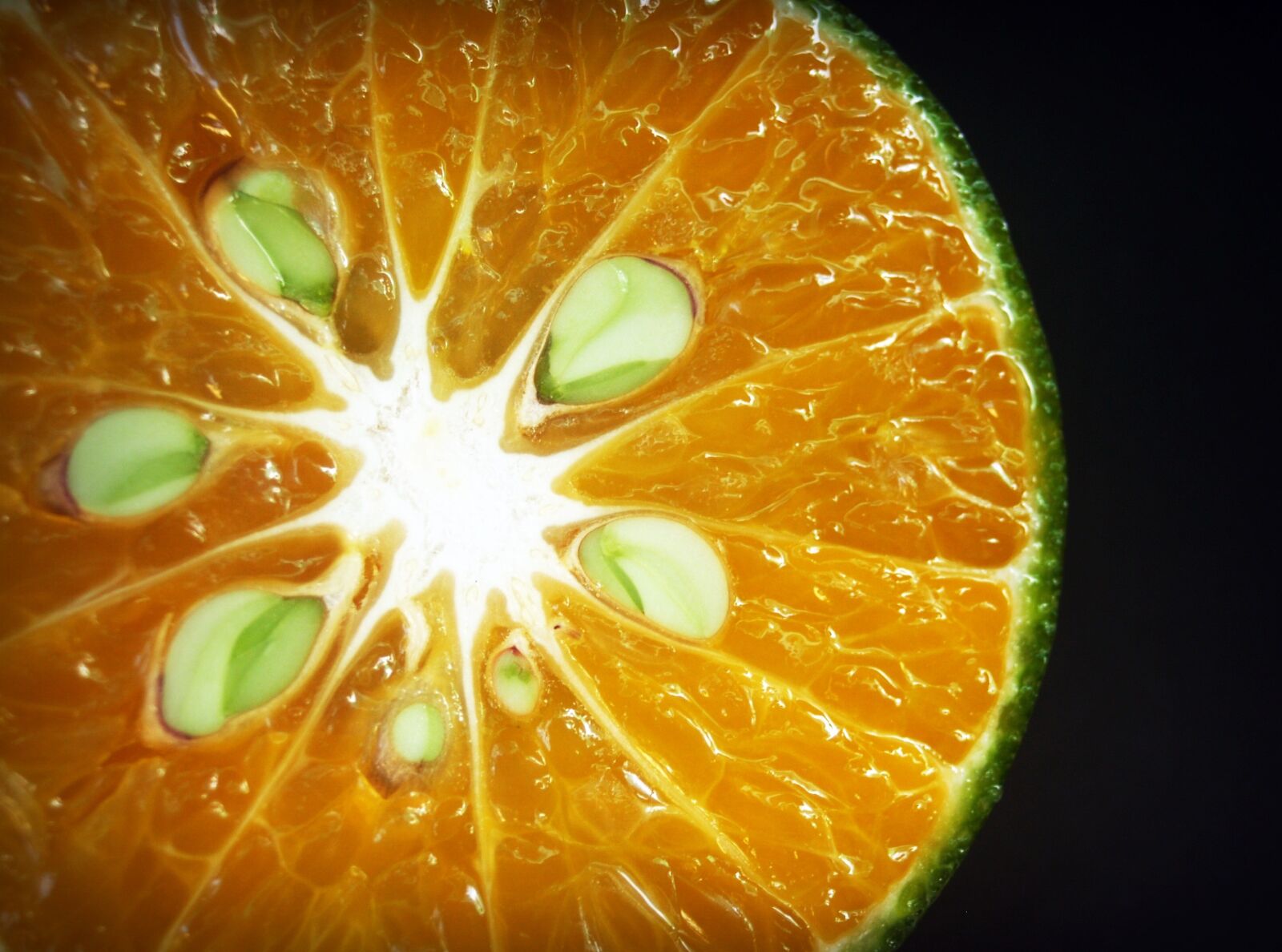 Olympus E-300 (EVOLT E-300) sample photo. Orange, fruit, slice photography