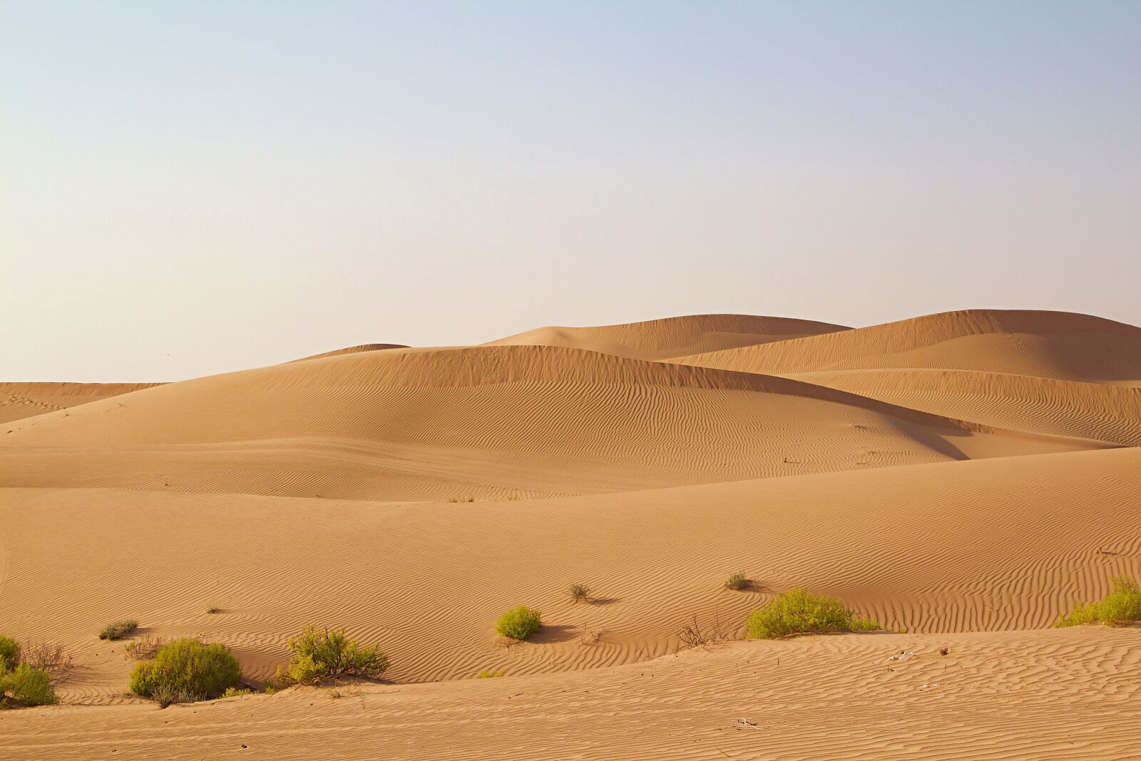 Canon EOS 600D (Rebel EOS T3i / EOS Kiss X5) sample photo. Abu dhabi, emirates, desert photography