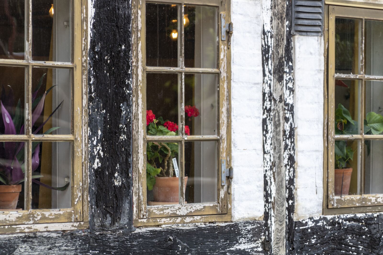 Canon EOS 750D (EOS Rebel T6i / EOS Kiss X8i) + Canon TS-E 90mm F2.8 Tilt-Shift sample photo. Old windows, timber frame photography