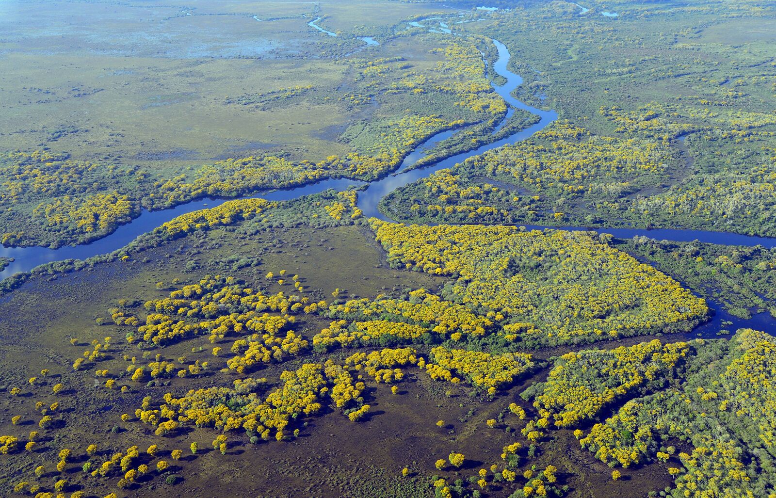 Nikon D4 sample photo. Pantanal, river, wetland photography