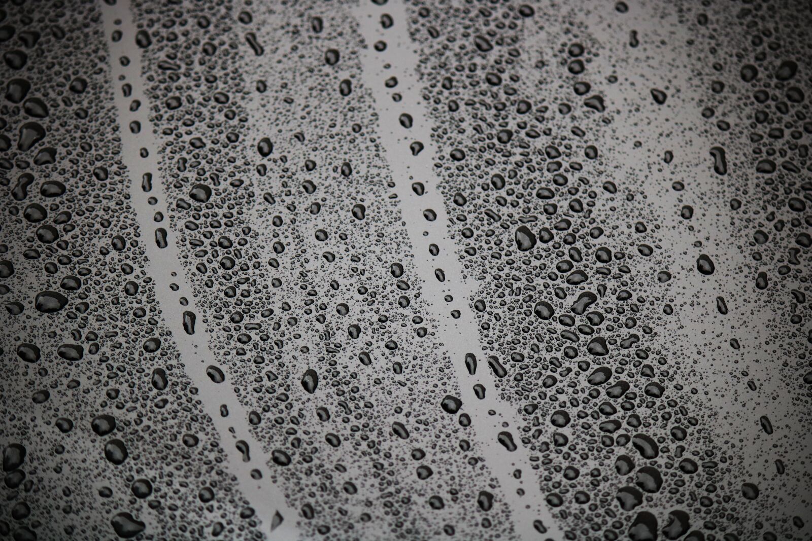 Canon EOS 750D (EOS Rebel T6i / EOS Kiss X8i) + Canon EF-S 55-250mm F4-5.6 IS sample photo. Drip, wet, drop of photography