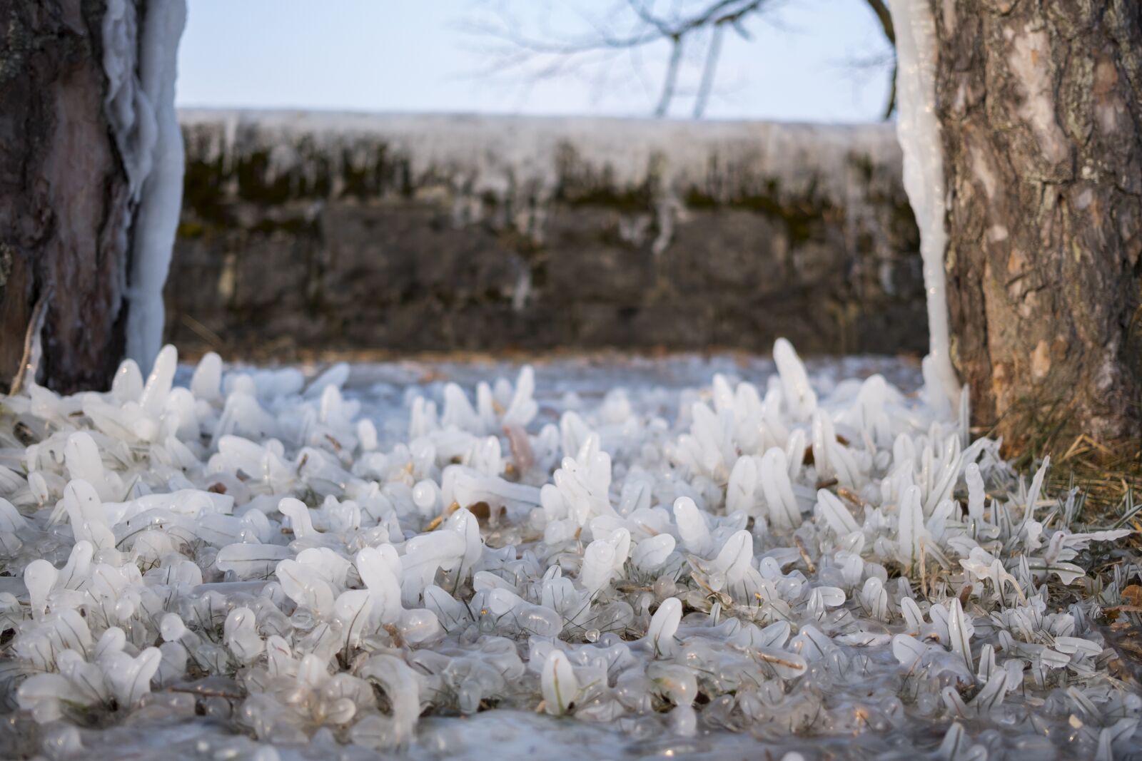 Fujifilm X-T20 + Fujifilm XF 23mm F2 R WR sample photo. Ice, cold, winter photography