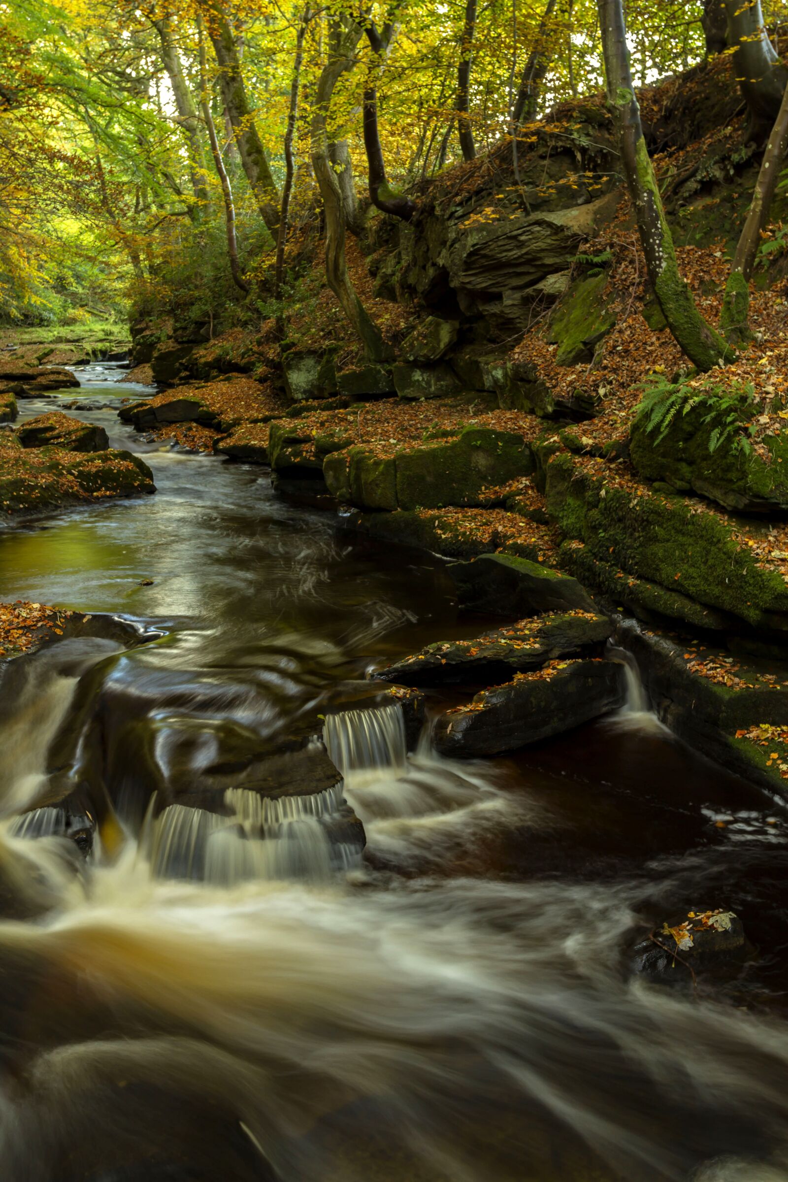 Canon EOS 7D + Canon EF 17-40mm F4L USM sample photo. Autumn, waterfall, landscape photography