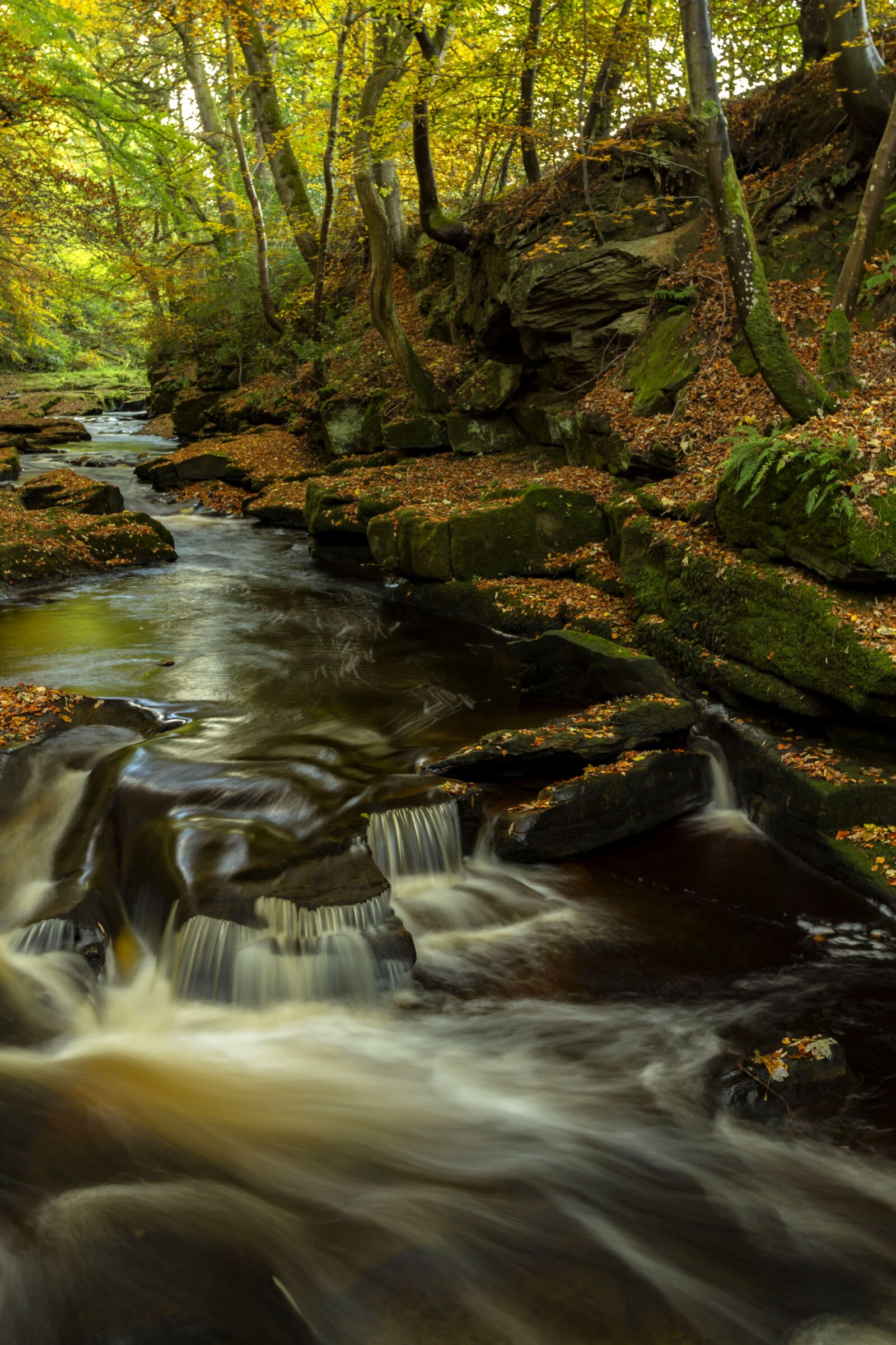 Canon EF 17-40mm F4L USM sample photo. Autumn, waterfall, landscape photography