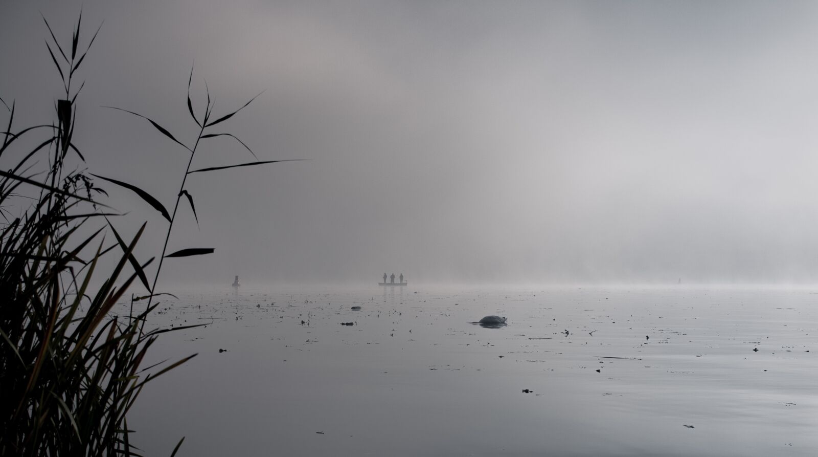 Canon EF-S 24mm F2.8 STM sample photo. Lake, angler, fish photography