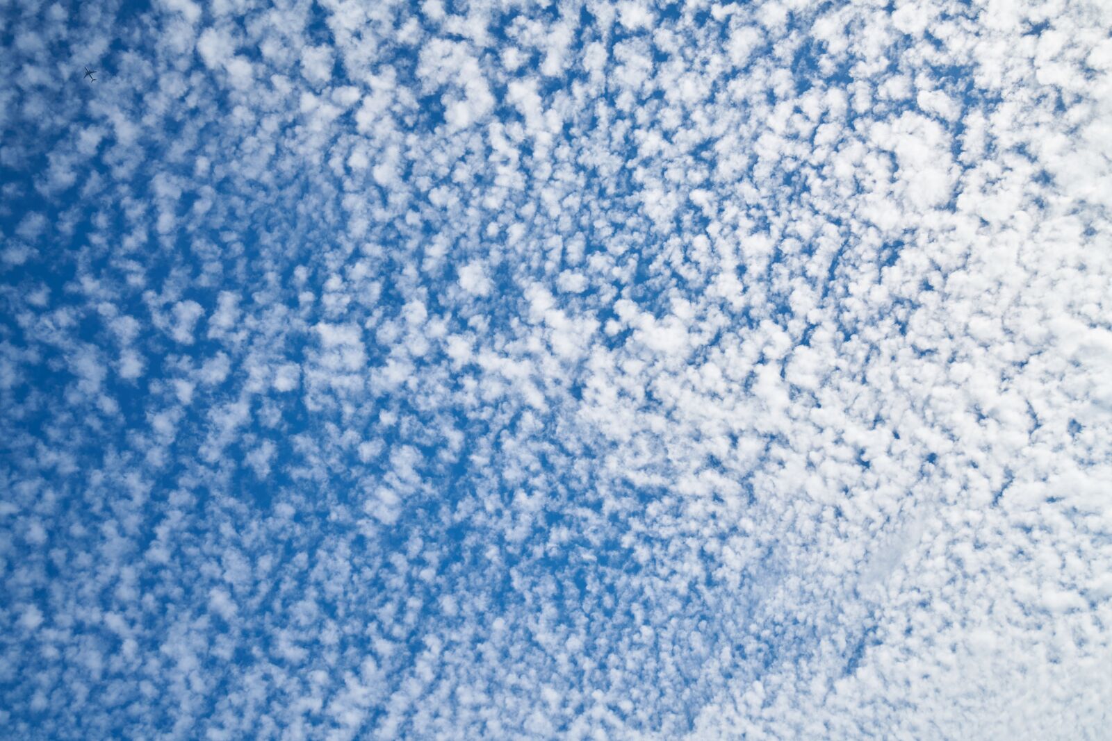 Sony a7R II sample photo. Blue, clouds, white photography