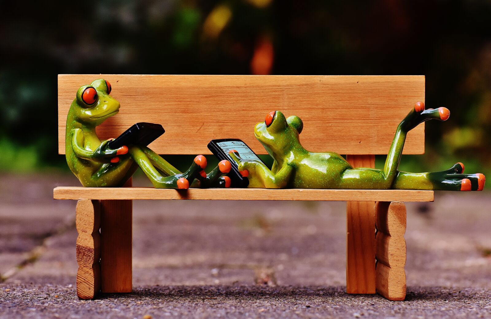 Nikon D7200 sample photo. Frogs, computer, bank photography