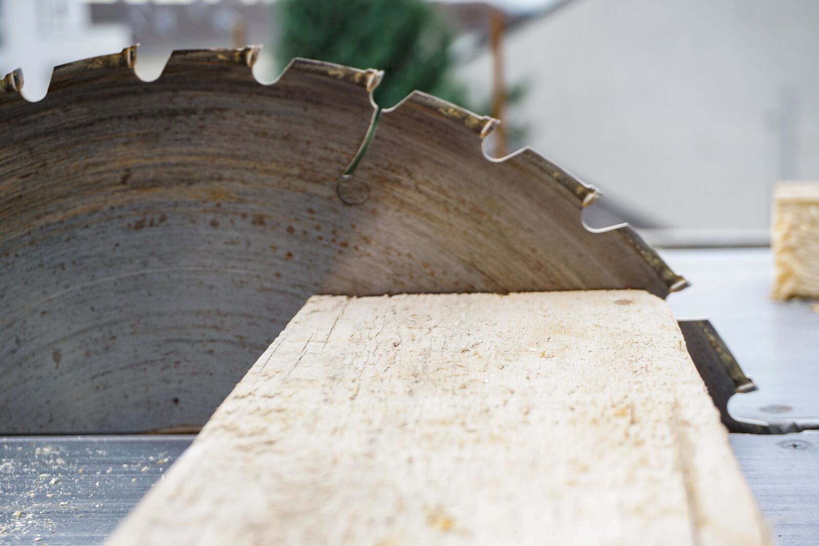 Sony a6000 sample photo. Circular saw, wood, cut photography