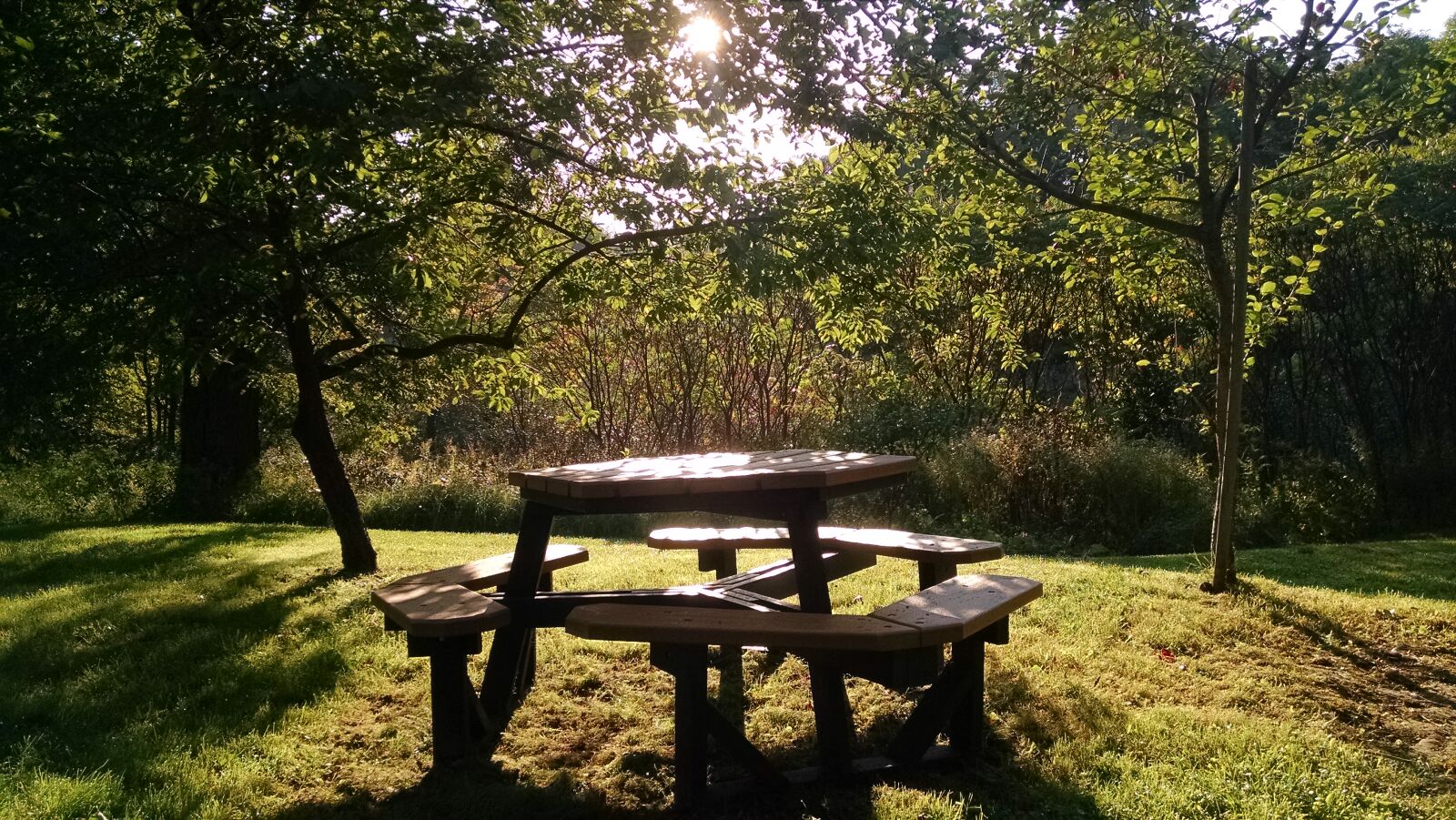 Motorola Moto X (1st Gen) sample photo. Sunshine, table photography