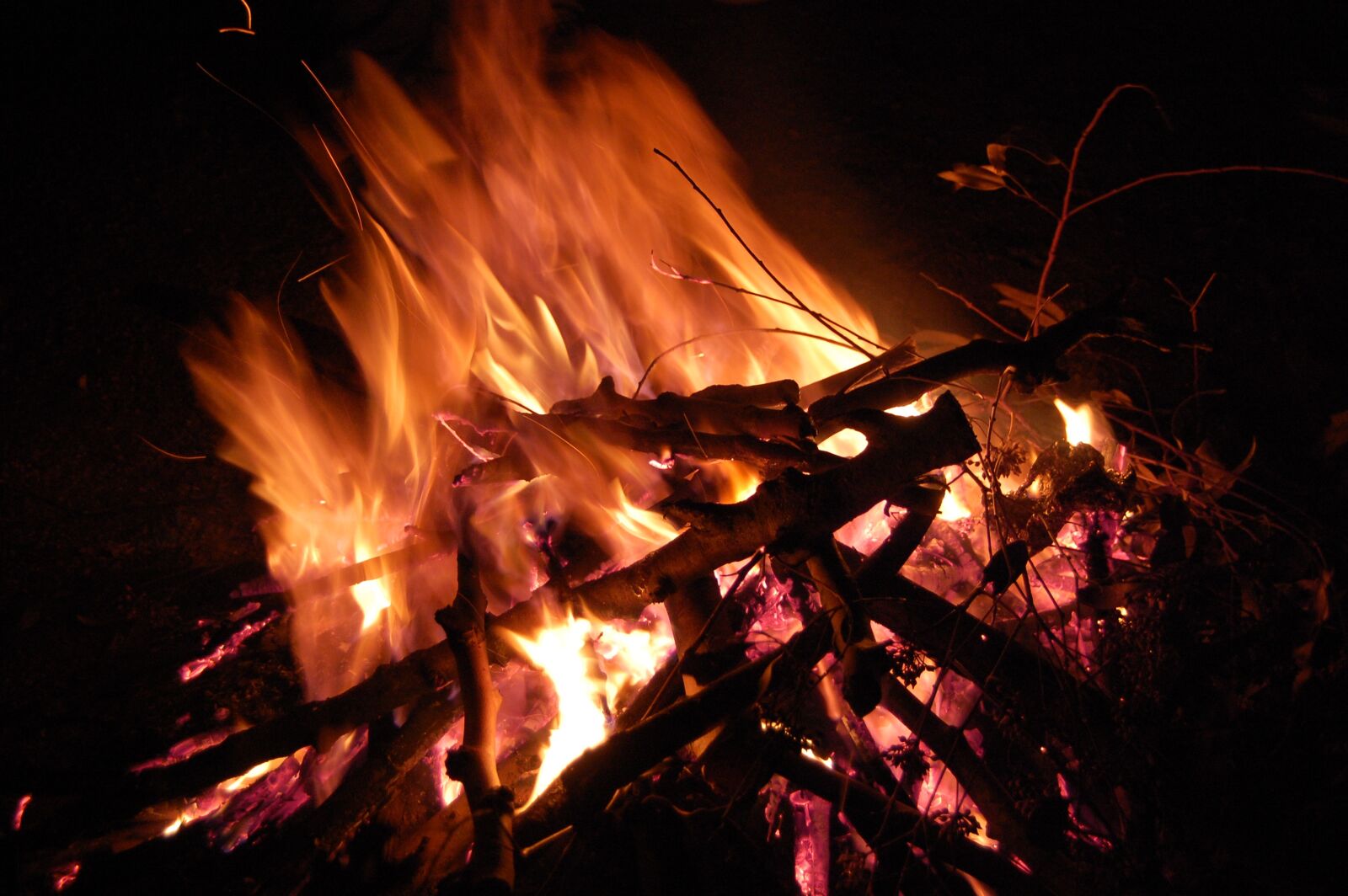 Nikon D40 sample photo. Fire, wood, night photography