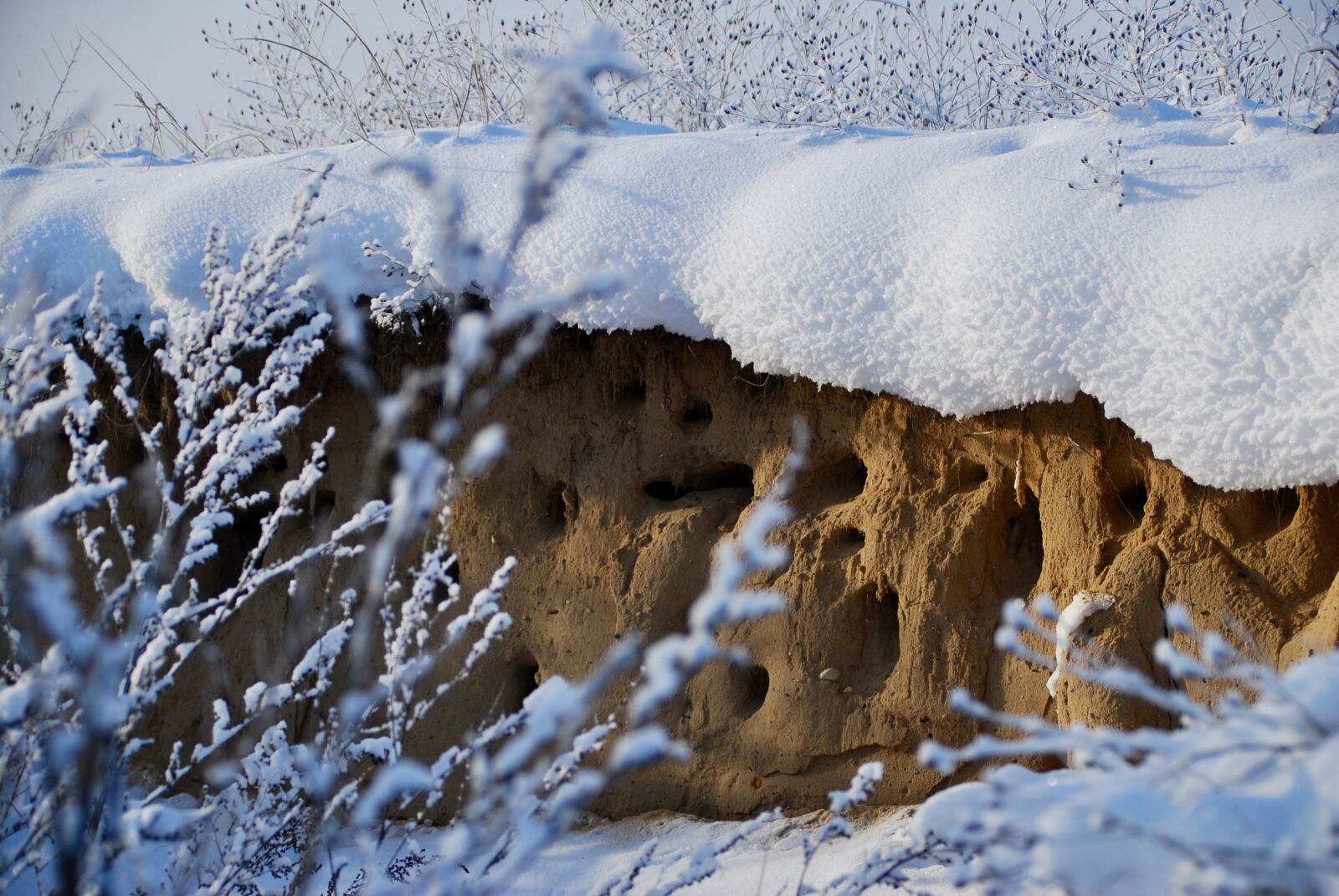 Nikon D80 sample photo. Snow, winter, cold photography