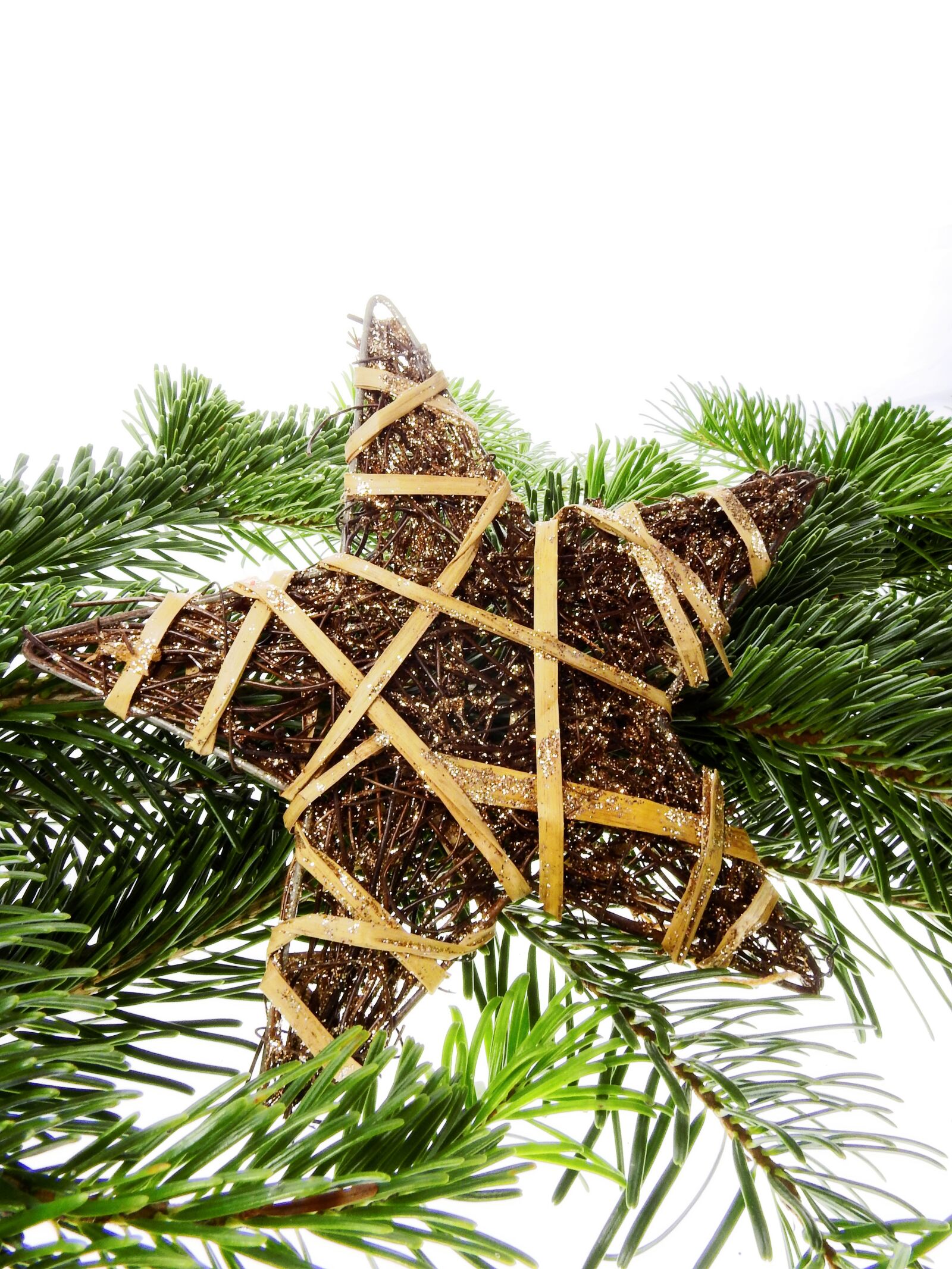 Nikon Coolpix P900 sample photo. Fir tree, conifer, christmas photography