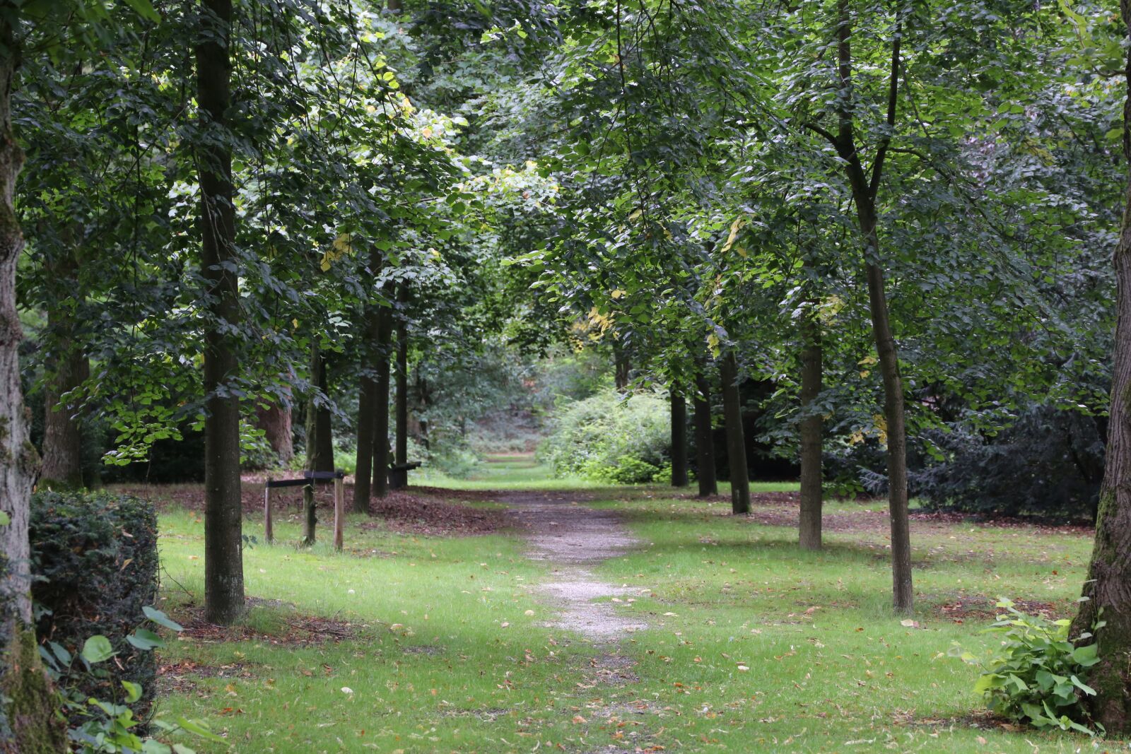 Canon EF 24-105mm F3.5-5.6 IS STM sample photo. Path, way, pathway photography