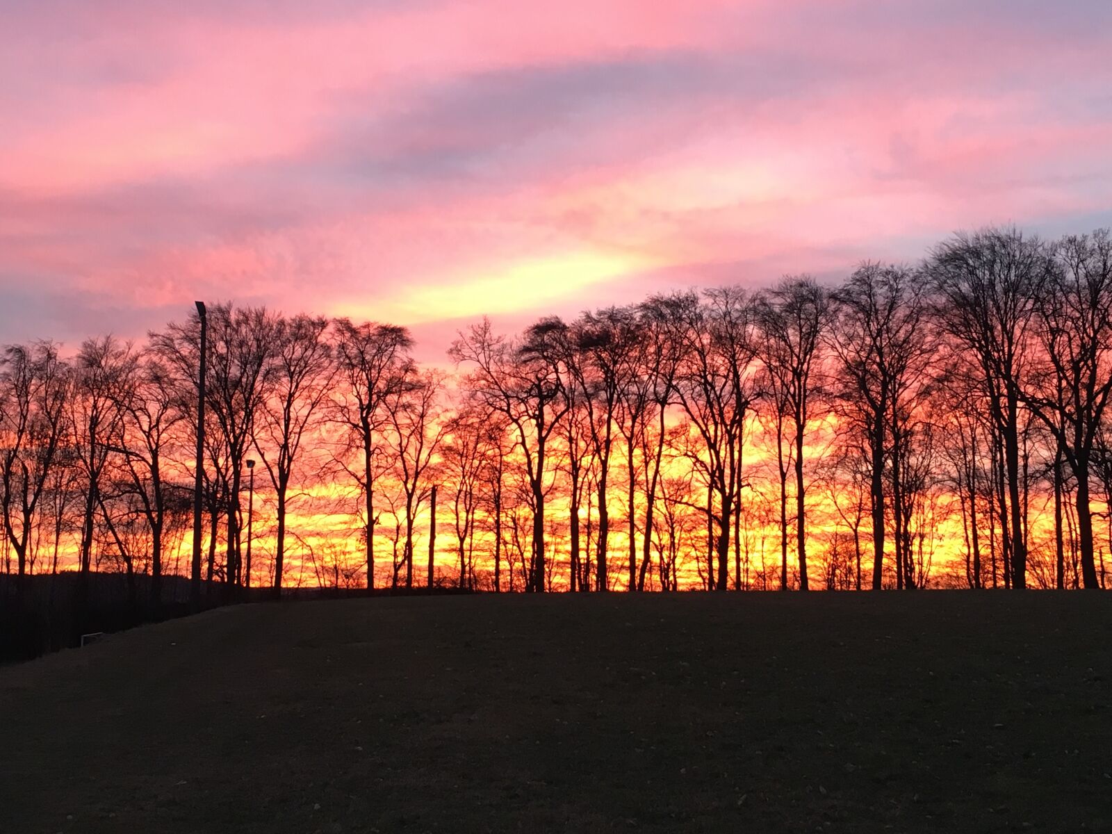 Apple iPhone 6s sample photo. Bäume, sonnenaufgang, sonne photography