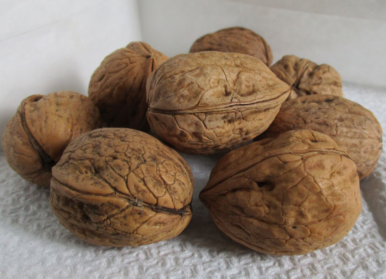 Canon IXUS 185 sample photo. Walnuts, shell, organic photography