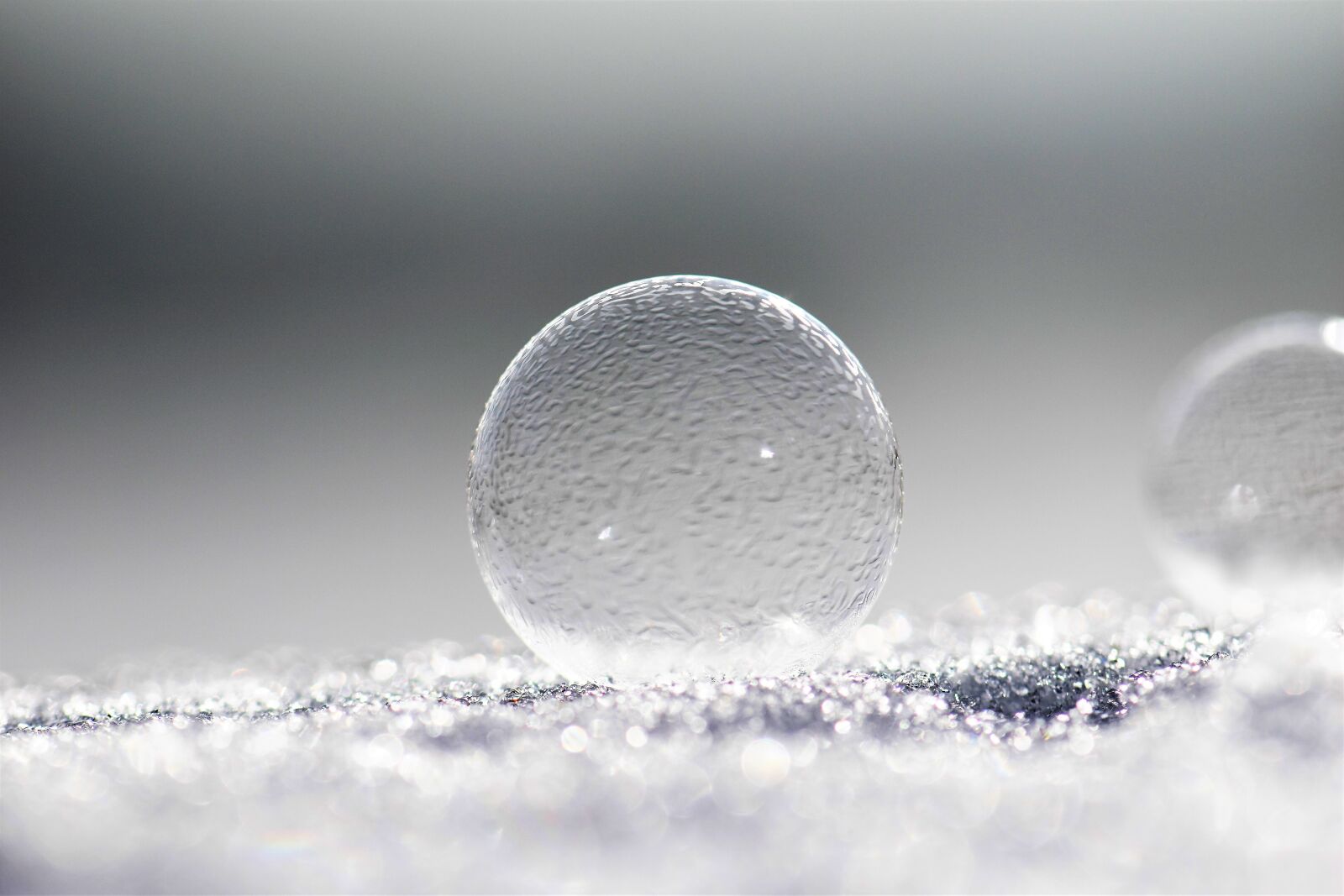 Nikon D5500 sample photo. Soap bubbles, frozen, frost photography