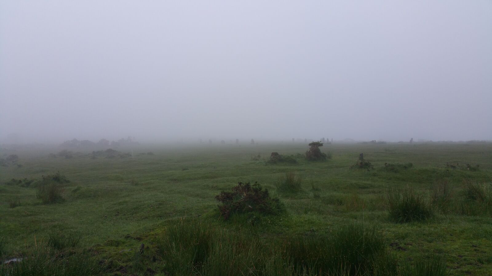 Samsung Galaxy Note4 sample photo. Bodmin moor, fog, moor photography