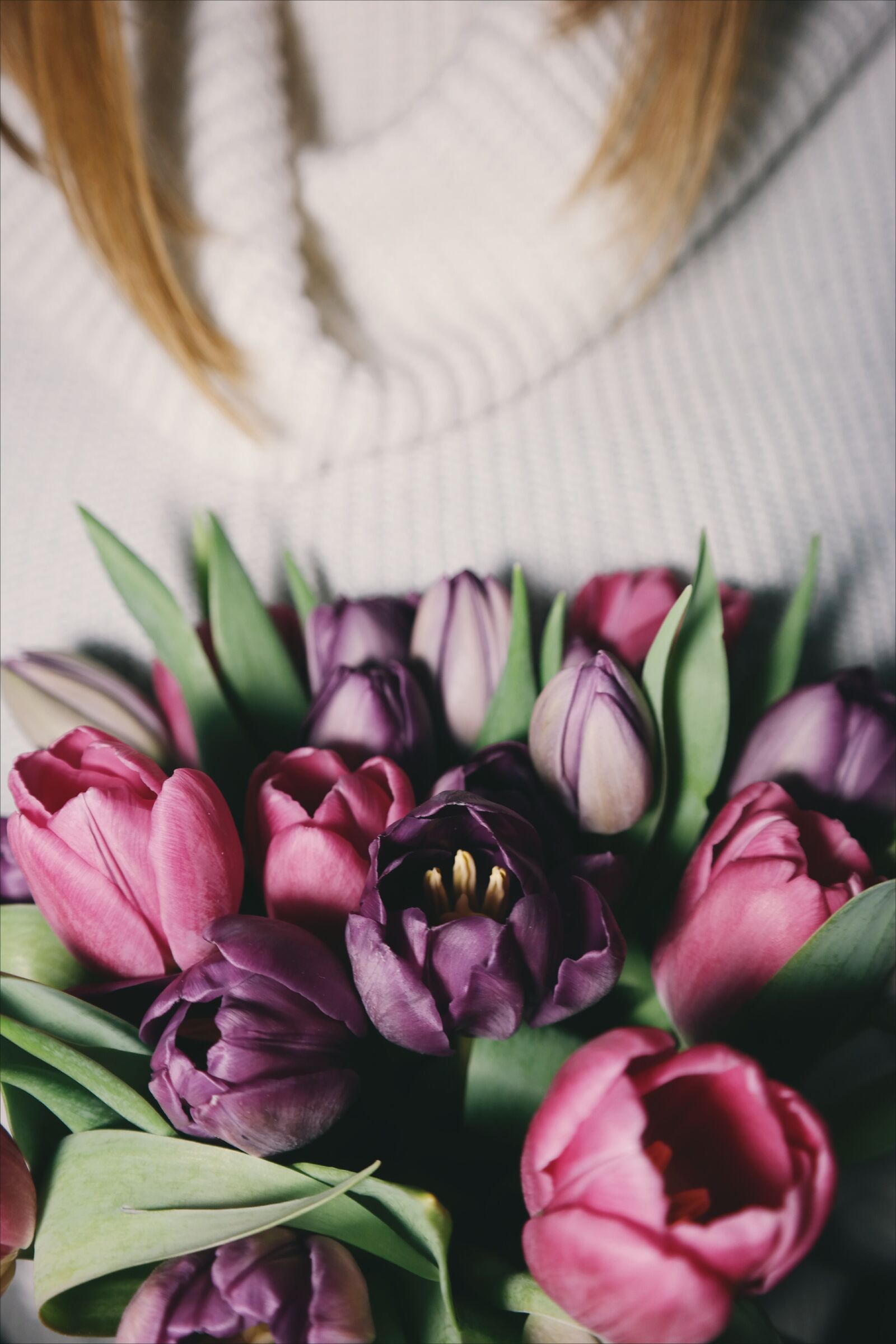 Samsung NX300 sample photo. Flower, pink, violet photography
