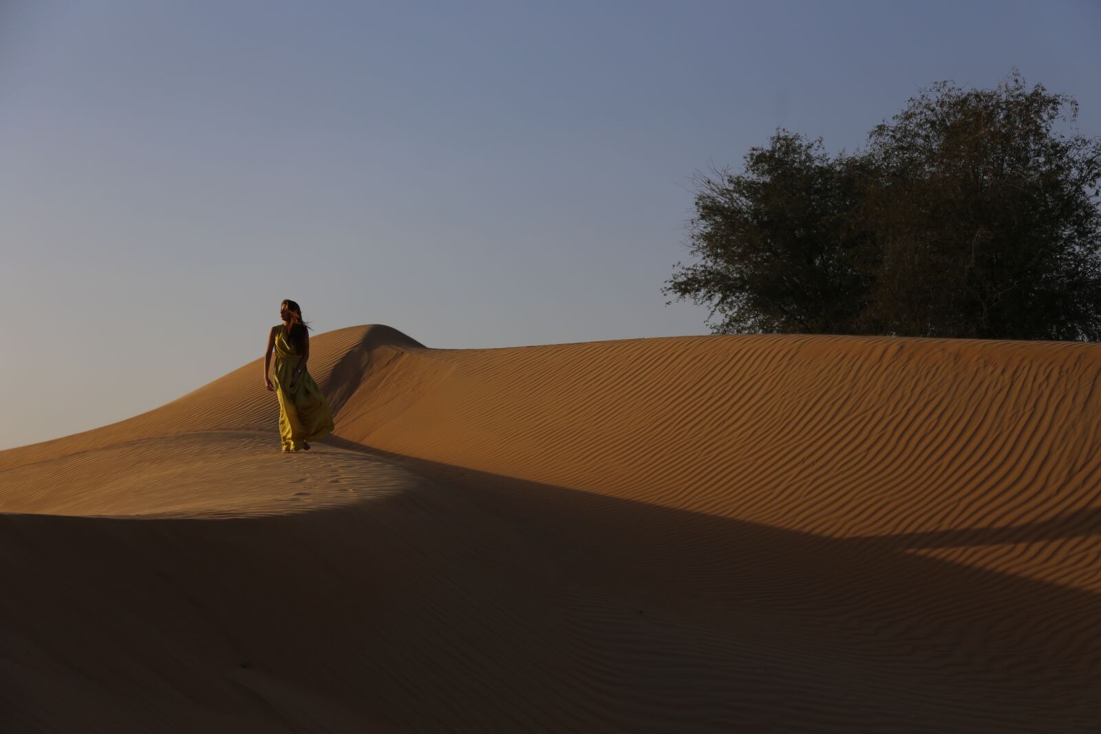 Canon EOS 6D + Canon EF 24-105mm F4L IS USM sample photo. Dune, woman, sand photography