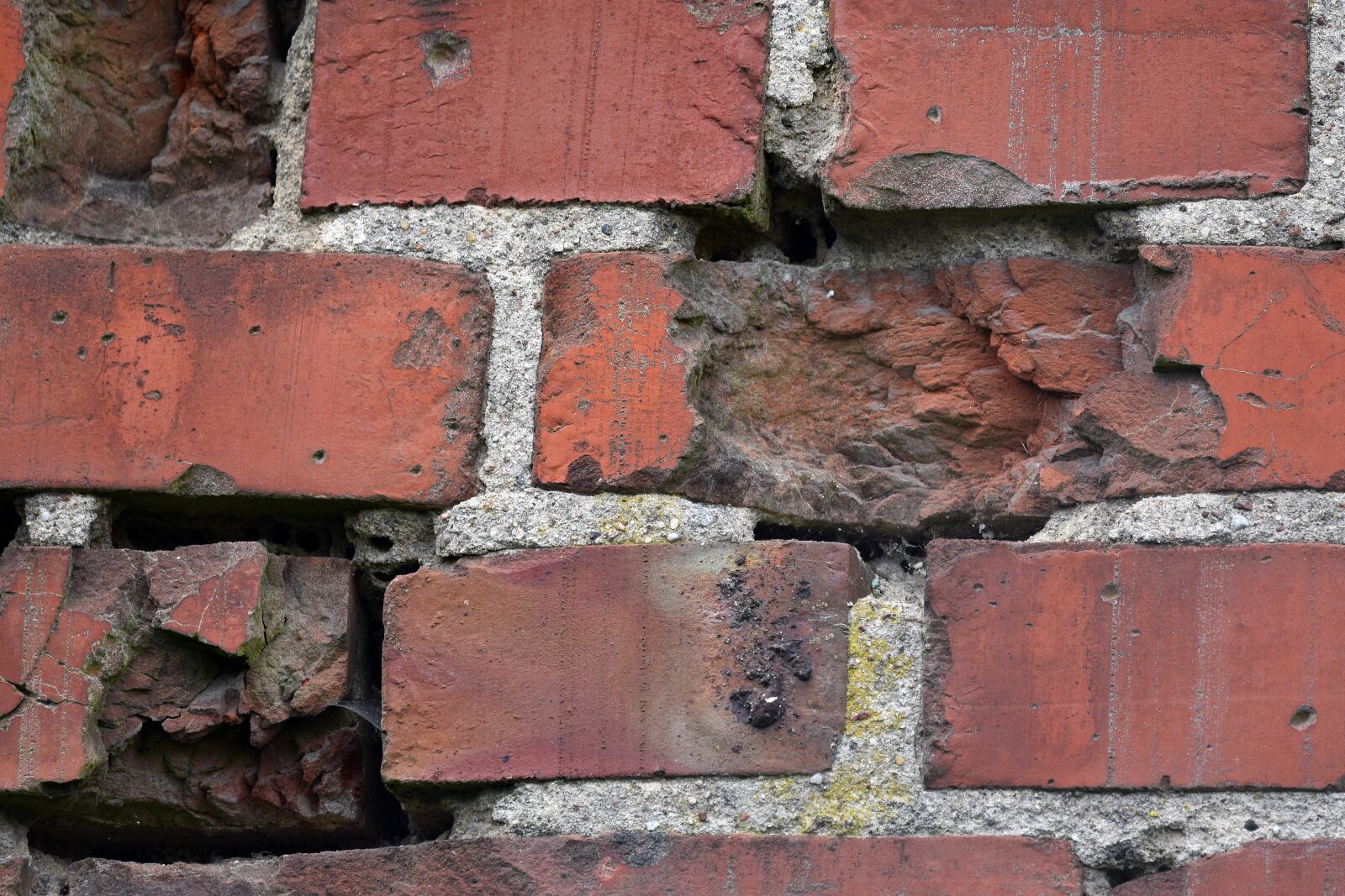 Nikon D3400 sample photo. Lake dusia, brick, the photography