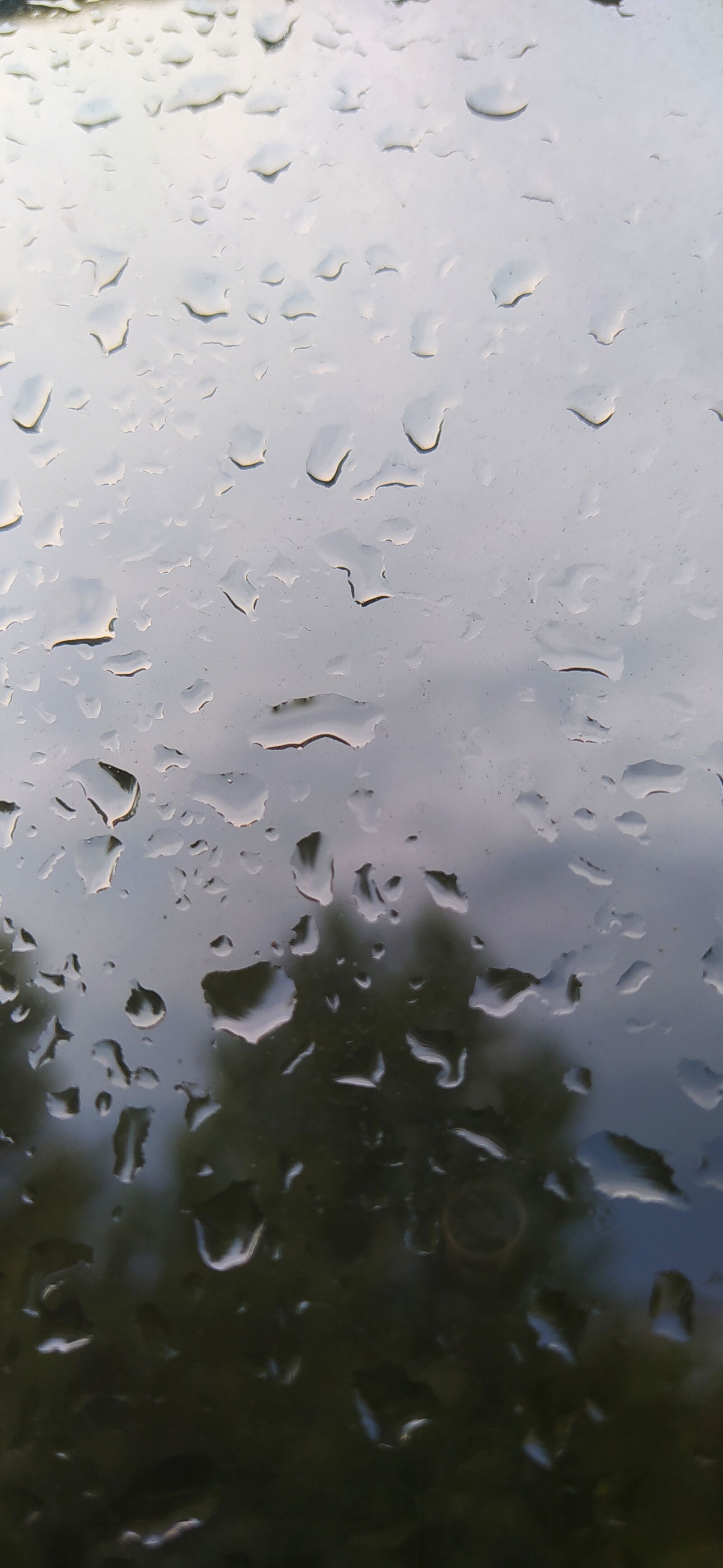 Xiaomi Redmi Note 8T sample photo. грусть, дождь, слезы photography