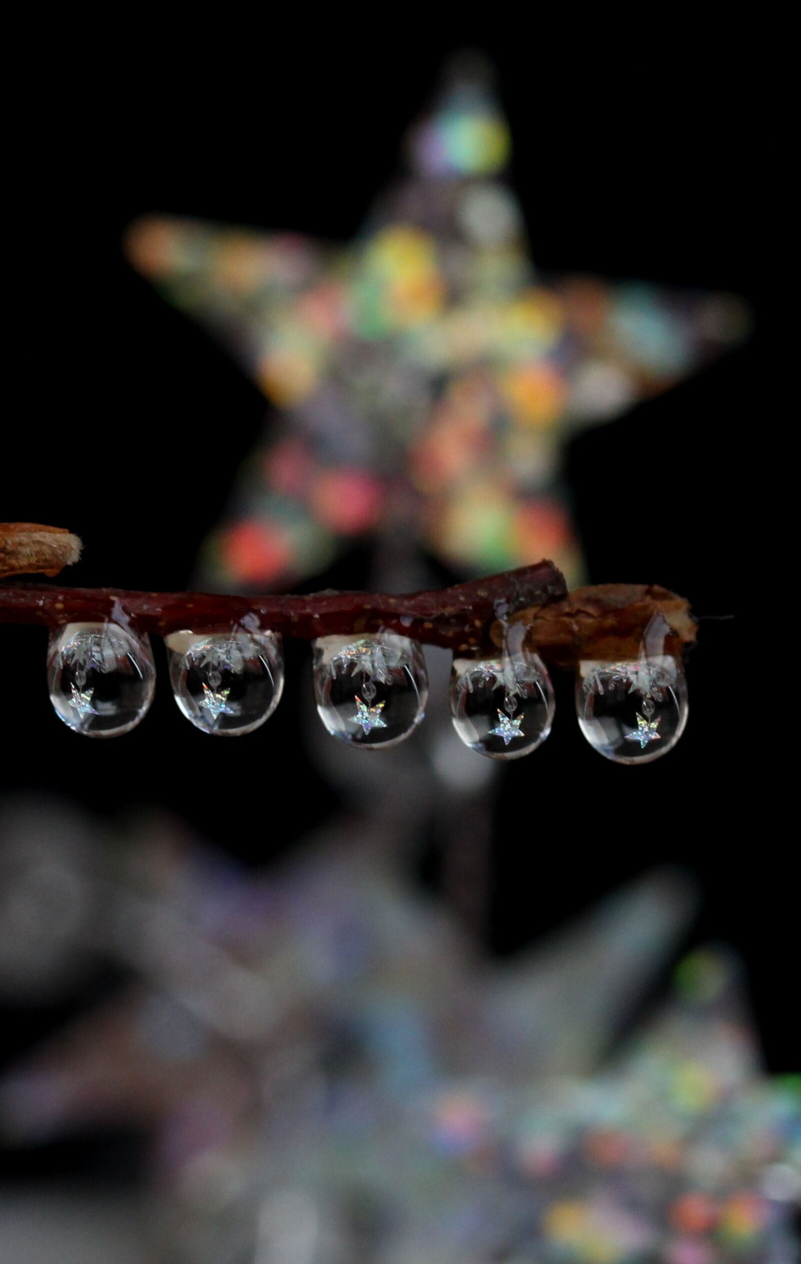 Canon EF-S 60mm F2.8 Macro USM sample photo. Drops, star, wet photography