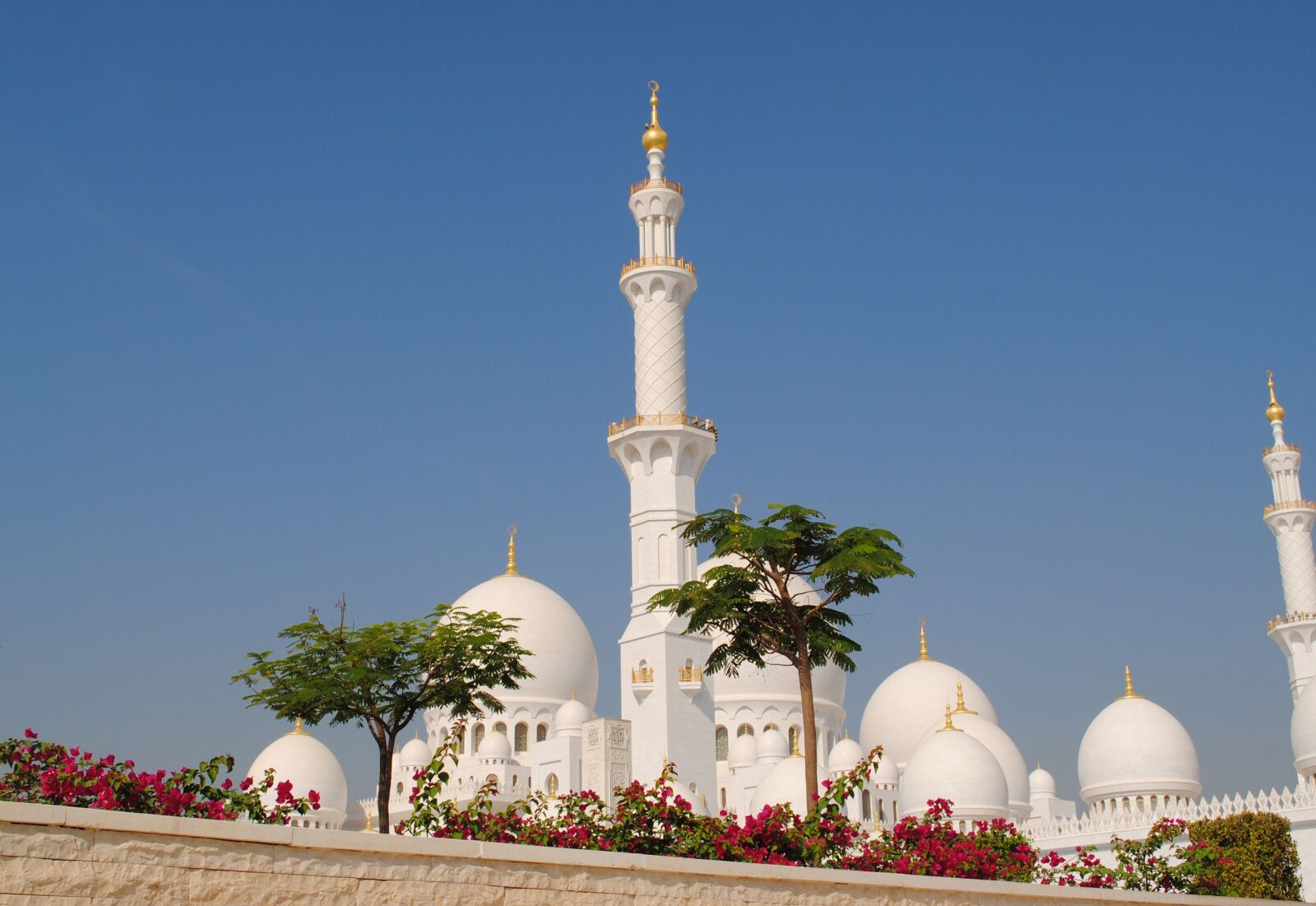 Nikon D3000 sample photo. Abu dhabi, white mosque photography